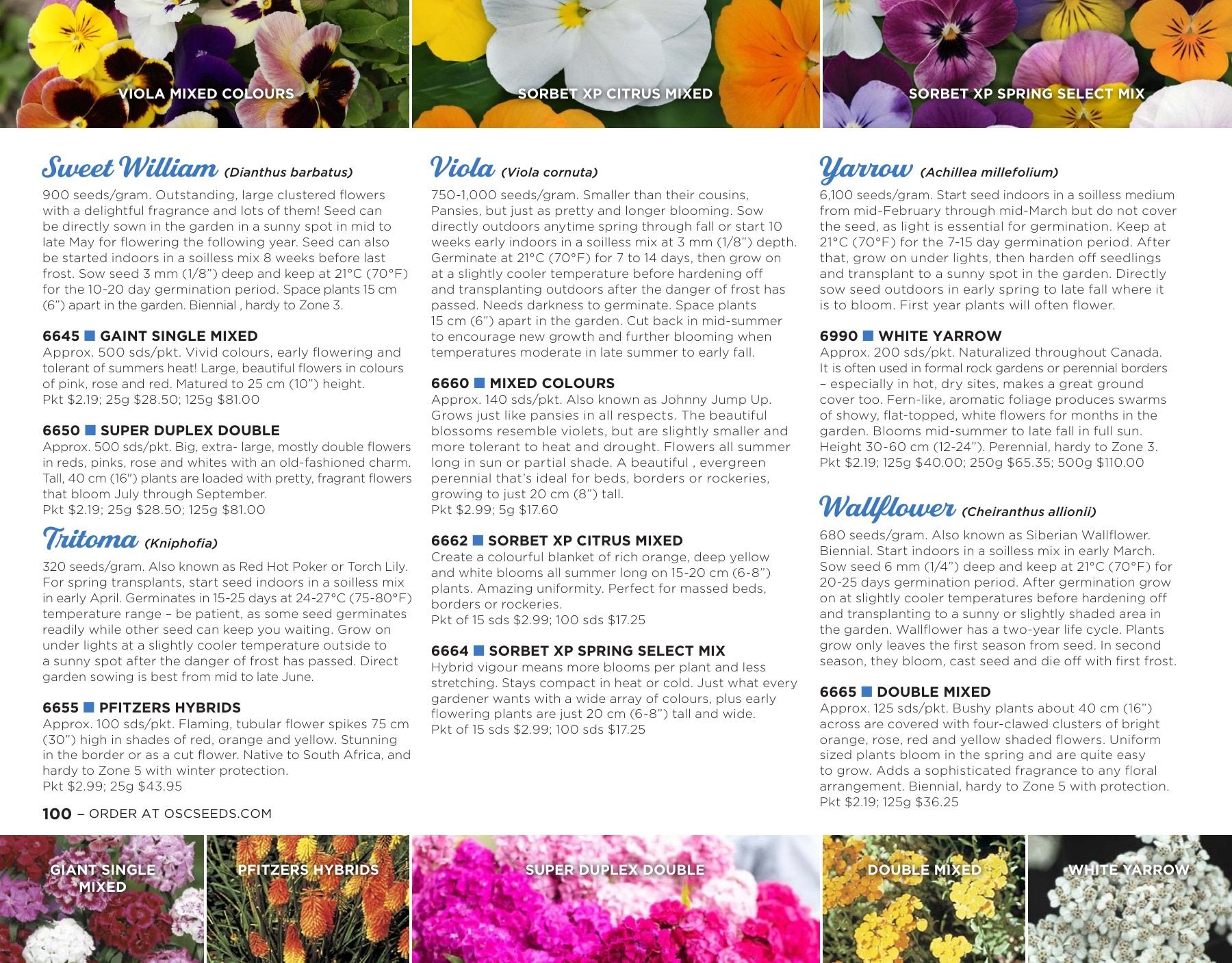 OSC Seeds Annual Catalog Flyer January 1 - December 31, 2026