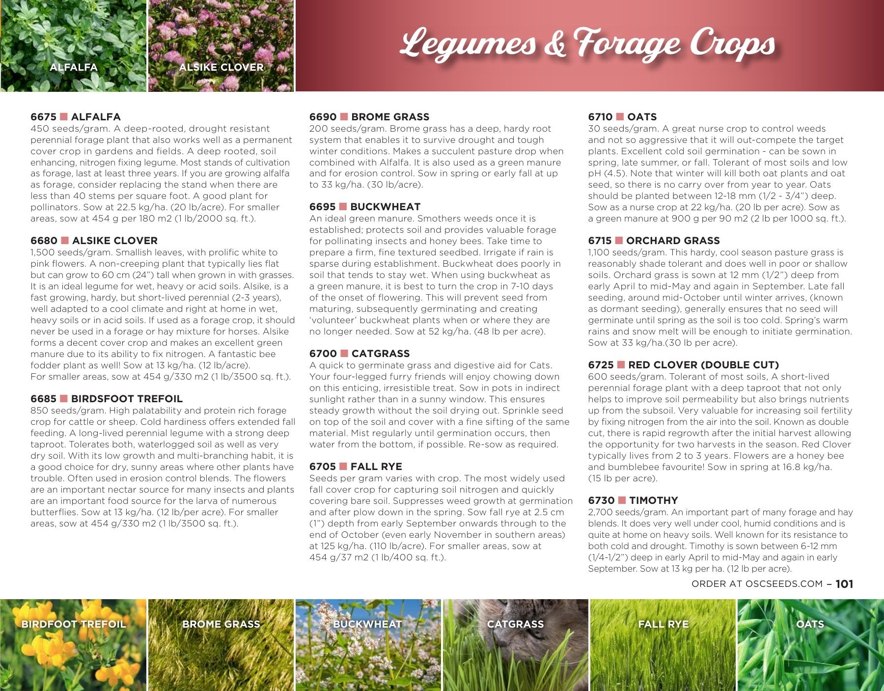 OSC Seeds Annual Catalog Flyer January 1 - December 31, 2026
