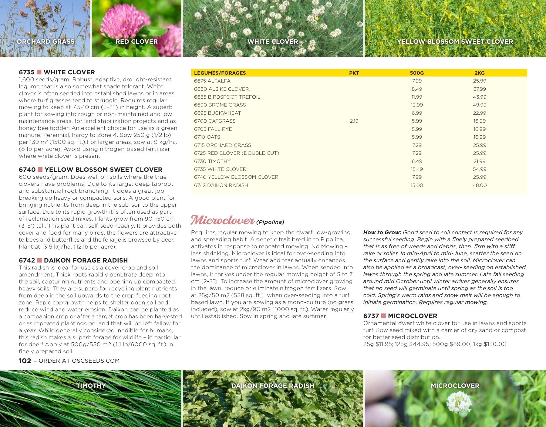 OSC Seeds Annual Catalog Flyer January 1 - December 31, 2026