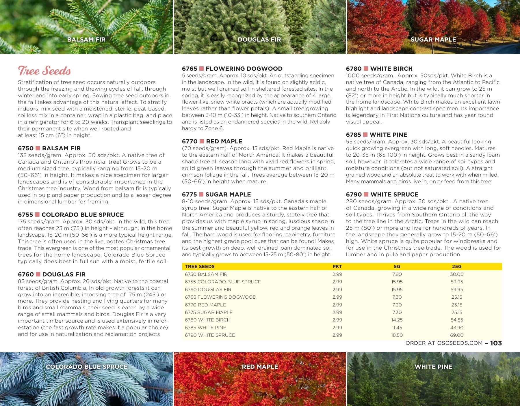 OSC Seeds Annual Catalog Flyer January 1 - December 31, 2026