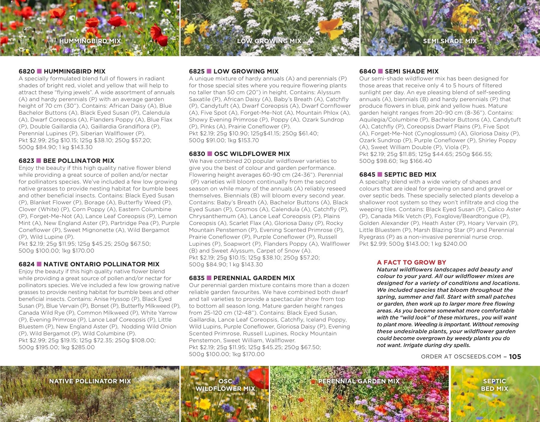 OSC Seeds Annual Catalog Flyer January 1 - December 31, 2026