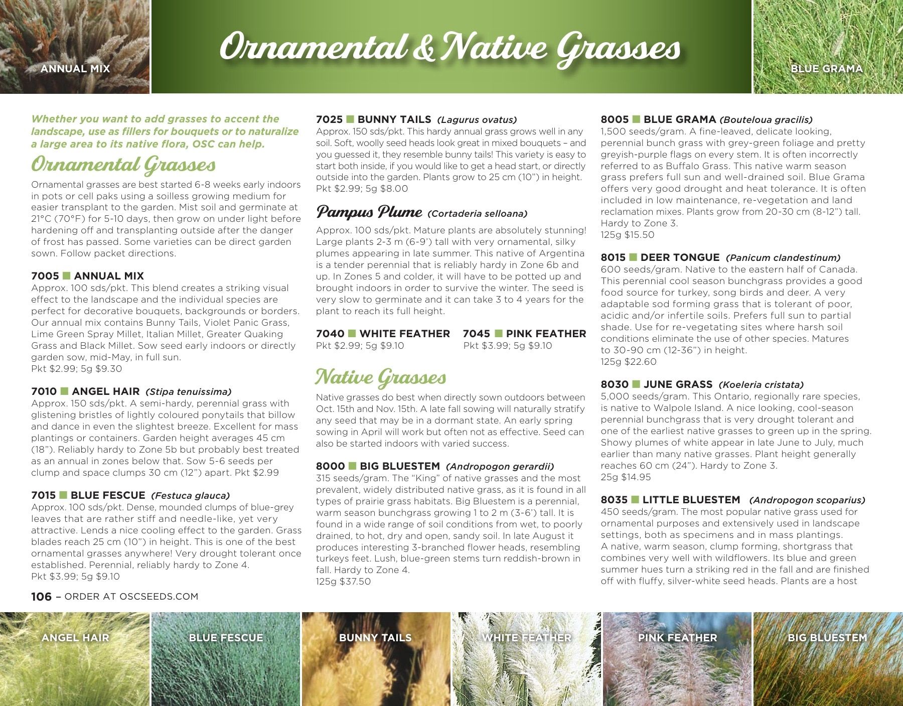 OSC Seeds Annual Catalog Flyer January 1 - December 31, 2026