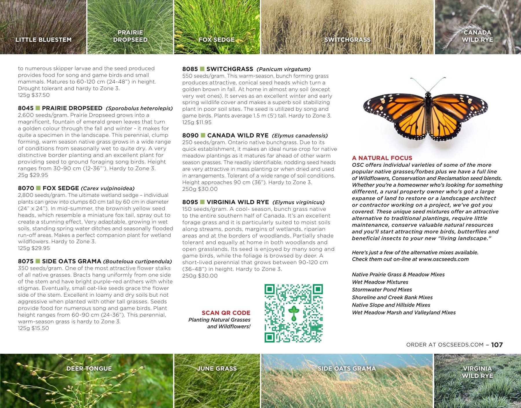 OSC Seeds Annual Catalog Flyer January 1 - December 31, 2026