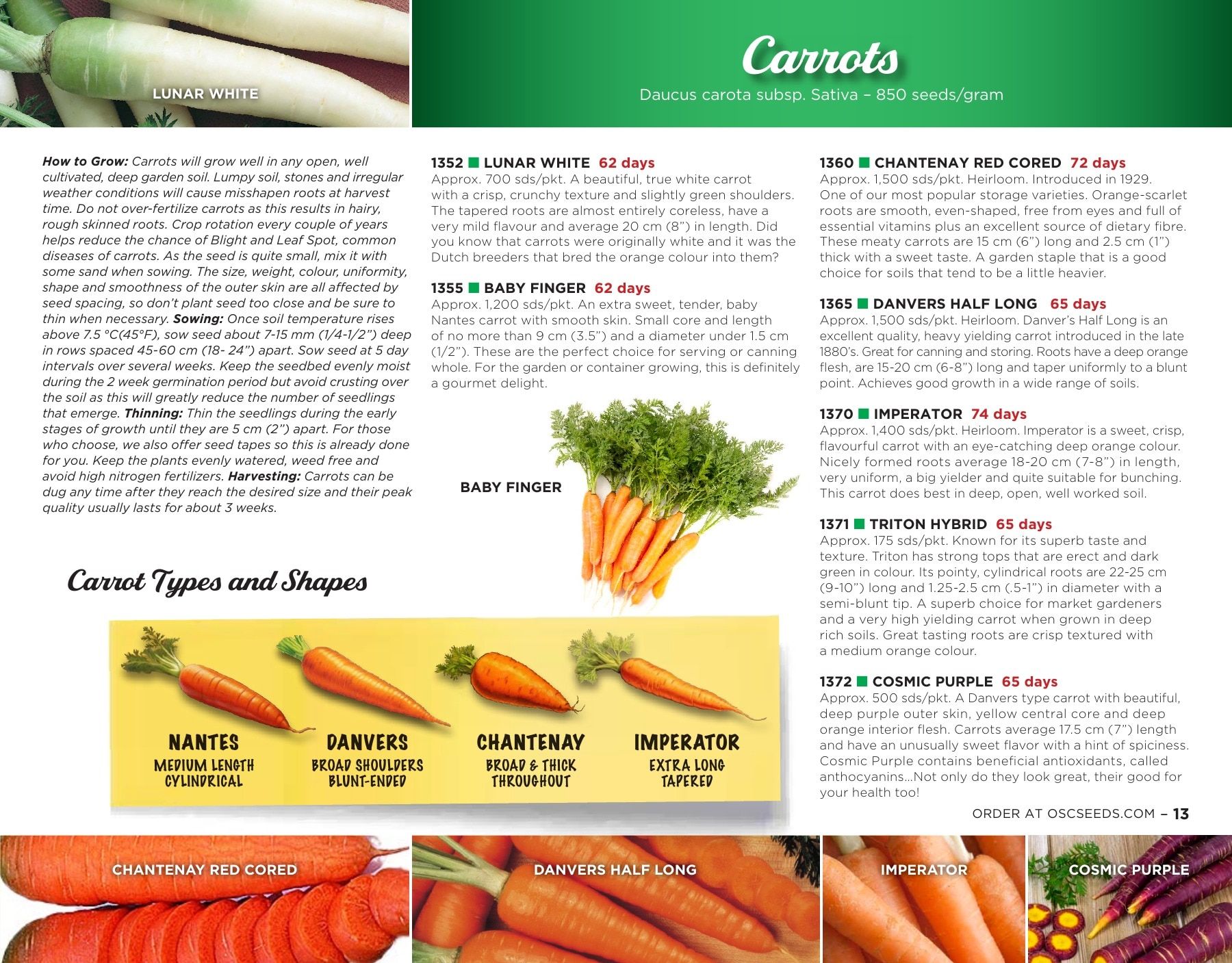 OSC Seeds Annual Catalog Flyer January 1 - December 31, 2026