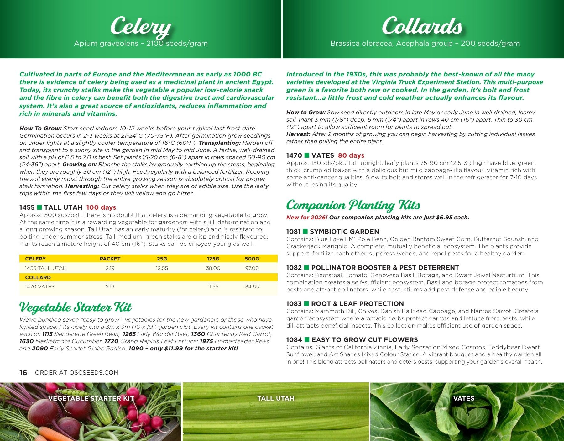 OSC Seeds Annual Catalog Flyer January 1 - December 31, 2026