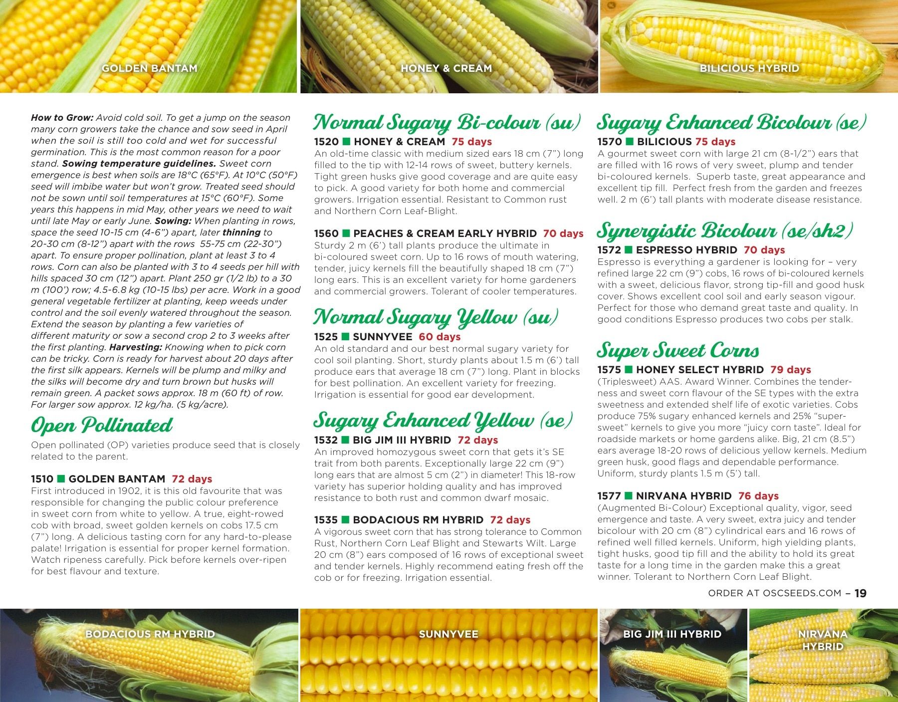 OSC Seeds Annual Catalog Flyer January 1 - December 31, 2026