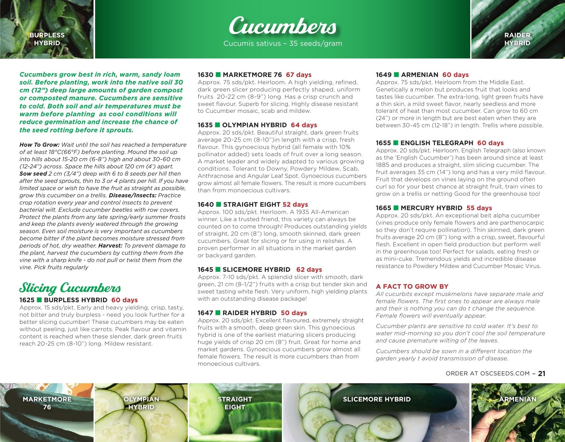 OSC Seeds Annual Catalog Flyer January 1 - December 31, 2026
