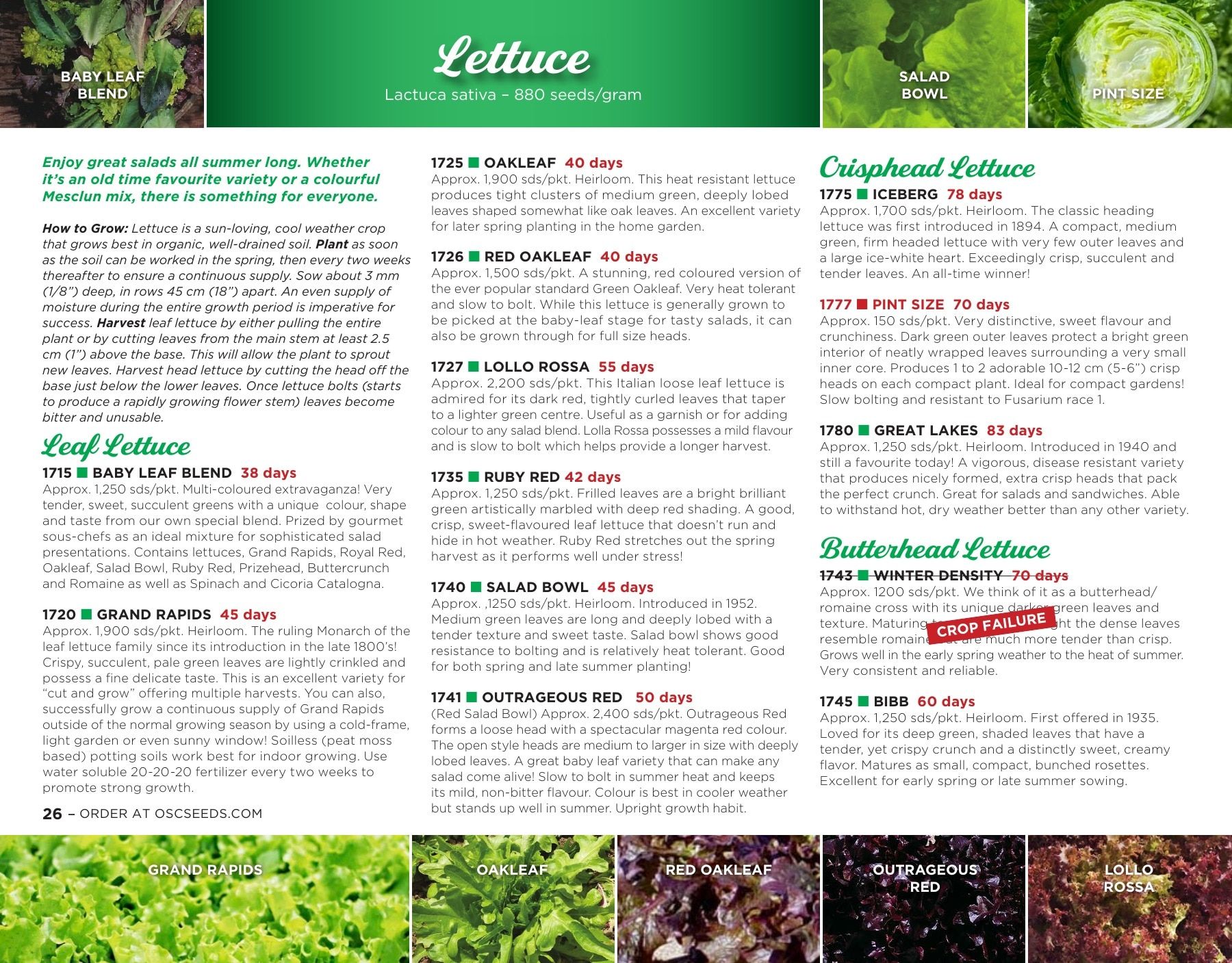 OSC Seeds Annual Catalog Flyer January 1 - December 31, 2026