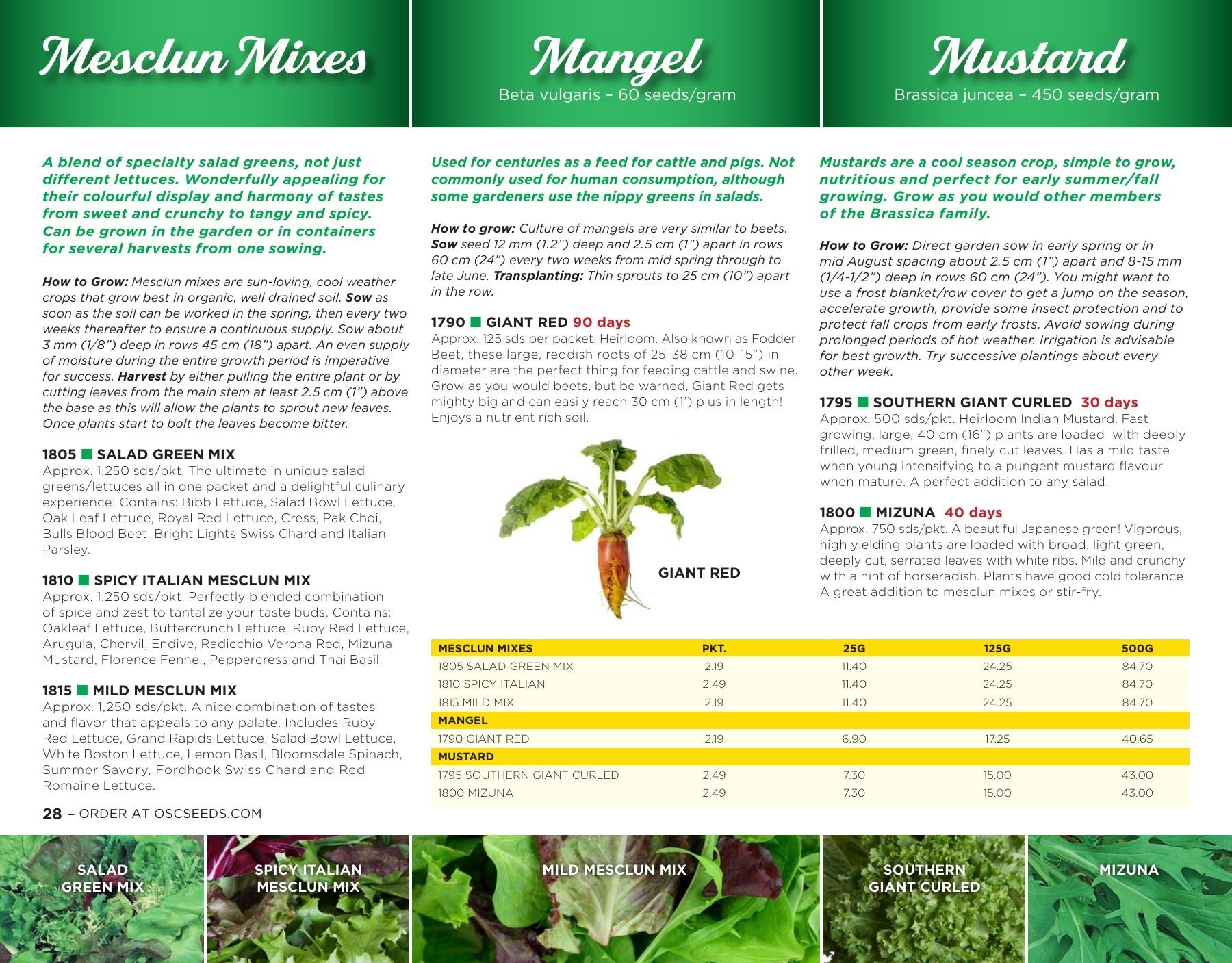 OSC Seeds Annual Catalog Flyer January 1 - December 31, 2026