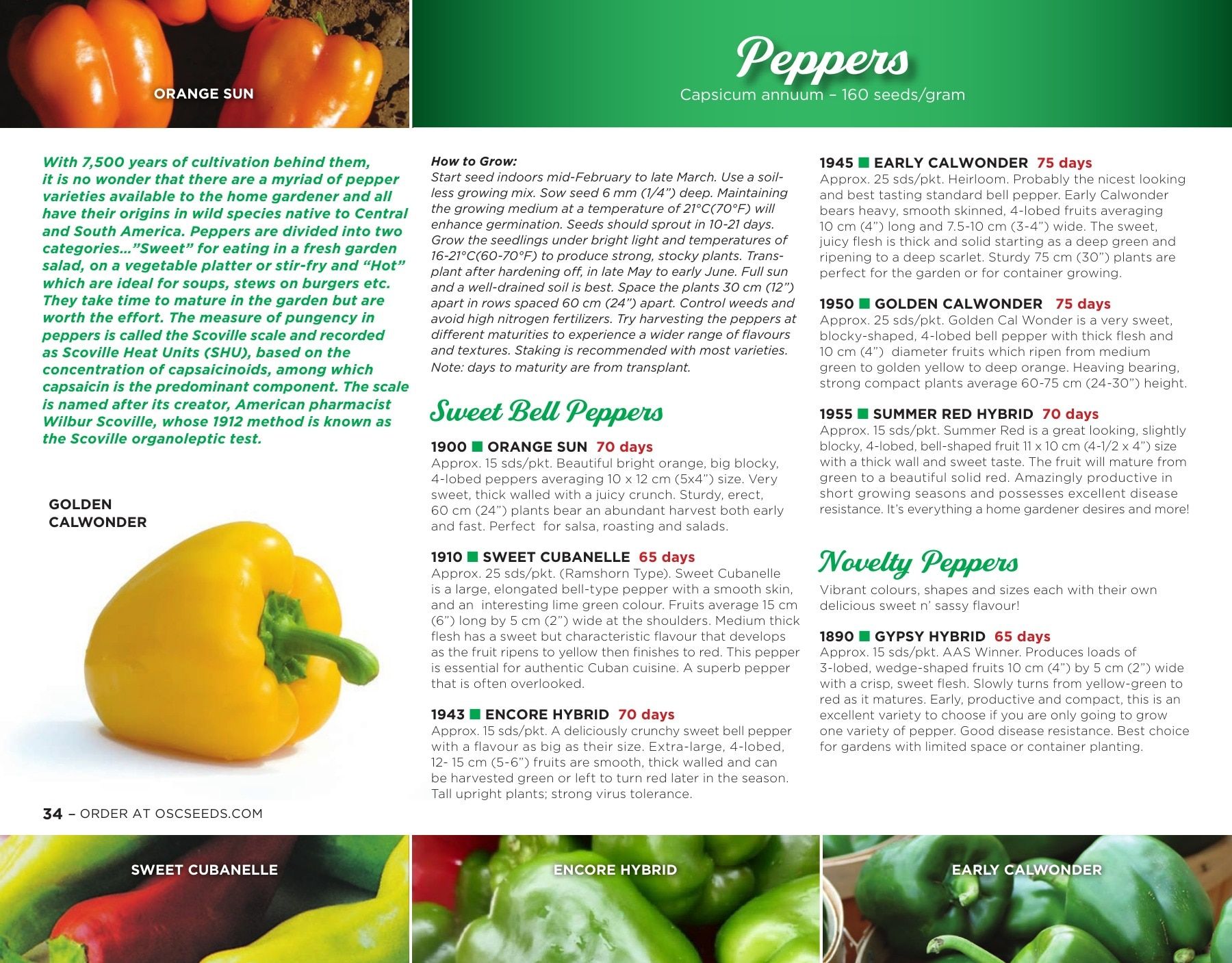 OSC Seeds Annual Catalog Flyer January 1 - December 31, 2026