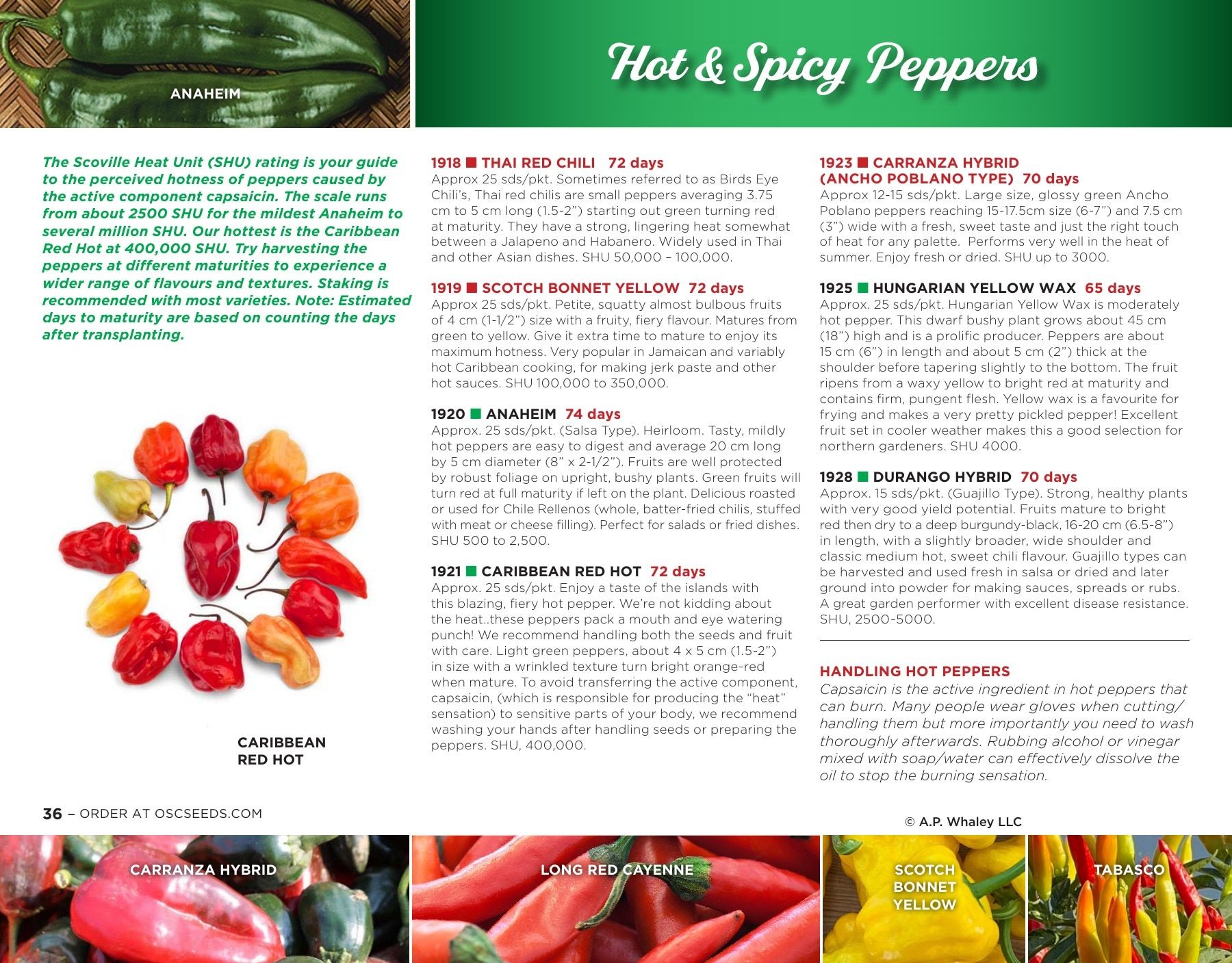OSC Seeds Annual Catalog Flyer January 1 - December 31, 2026