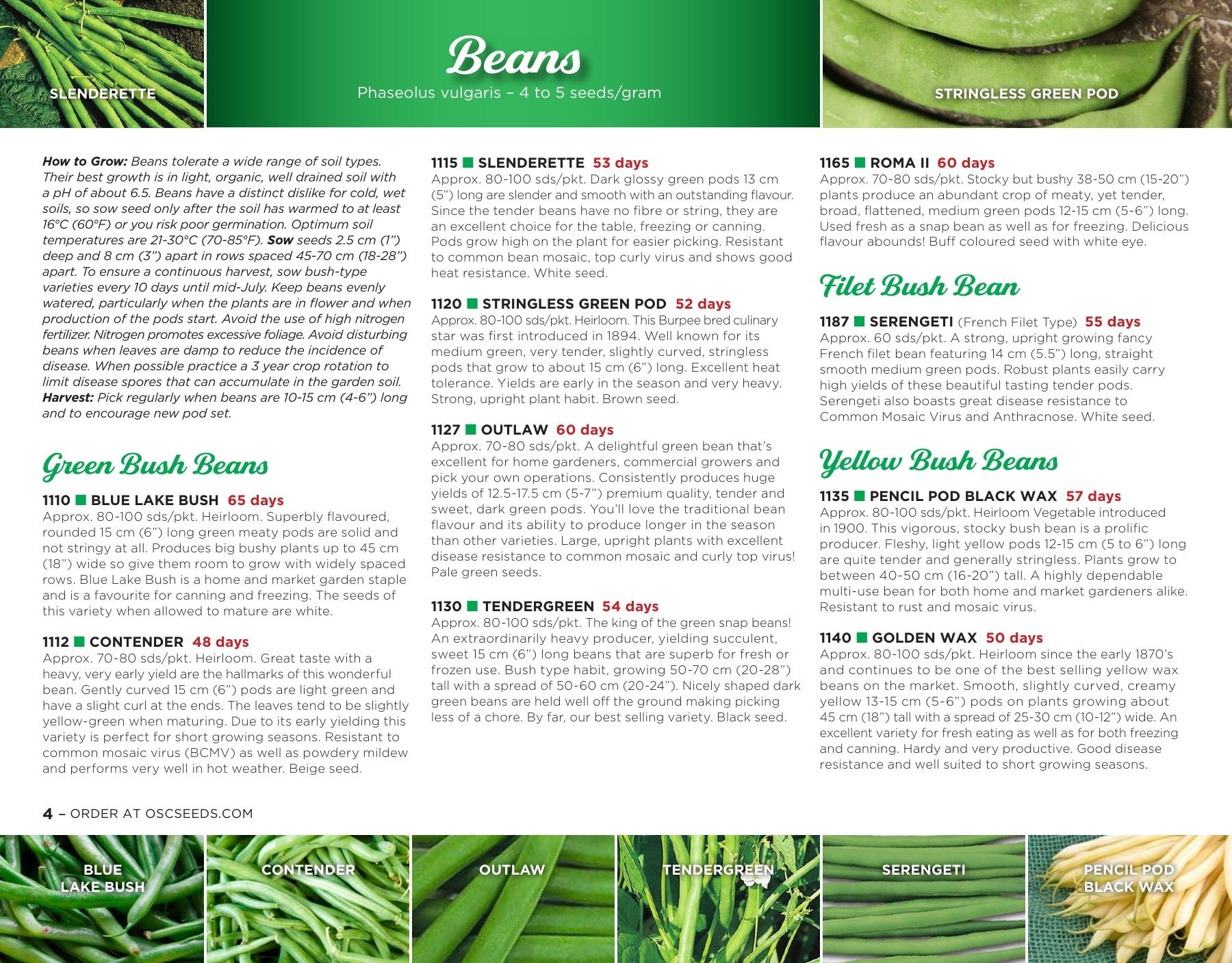 OSC Seeds Annual Catalog Flyer January 1 - December 31, 2026