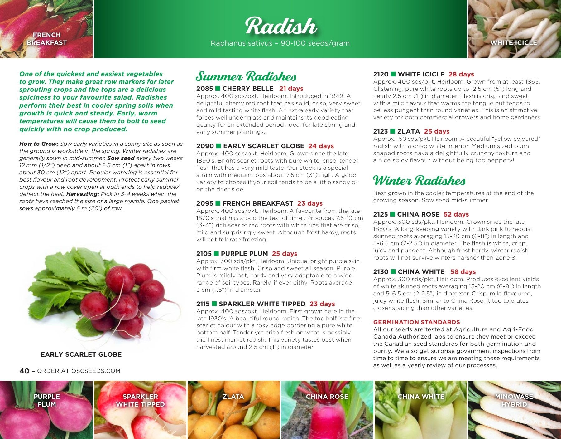 OSC Seeds Annual Catalog Flyer January 1 - December 31, 2026