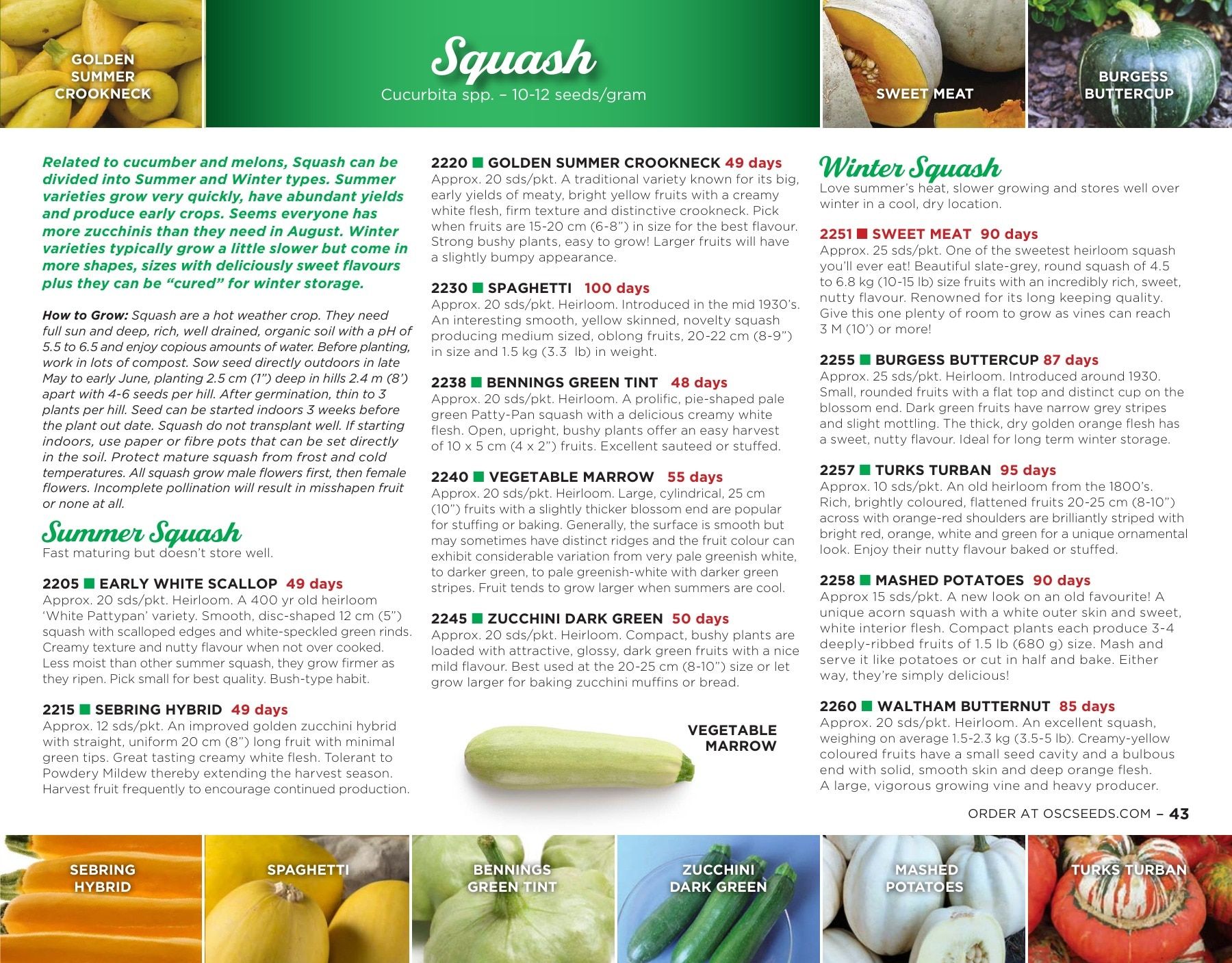 OSC Seeds Annual Catalog Flyer January 1 - December 31, 2026