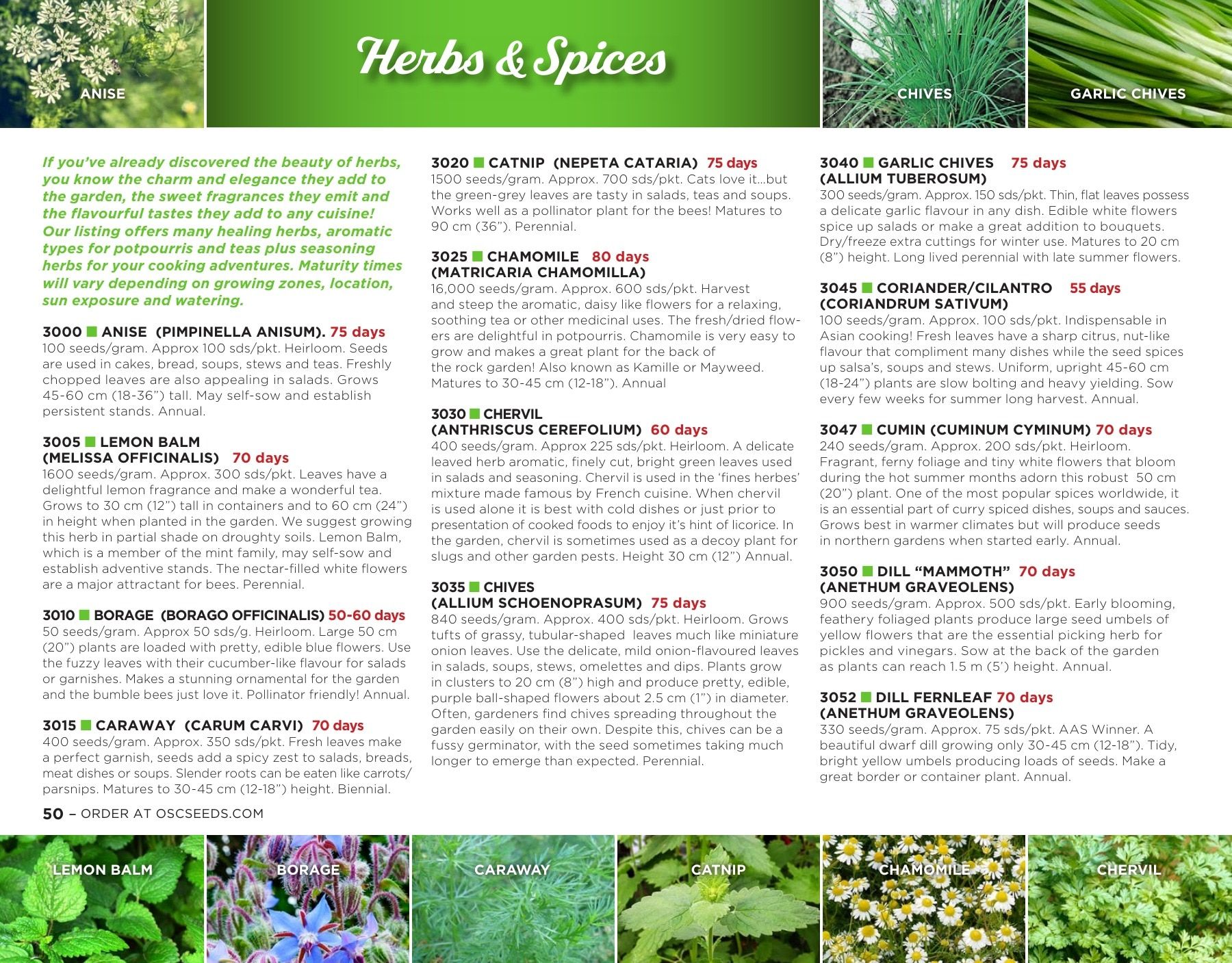 OSC Seeds Annual Catalog Flyer January 1 - December 31, 2026