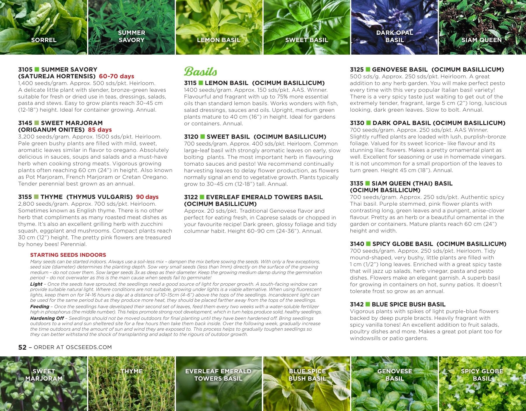 OSC Seeds Annual Catalog Flyer January 1 - December 31, 2026