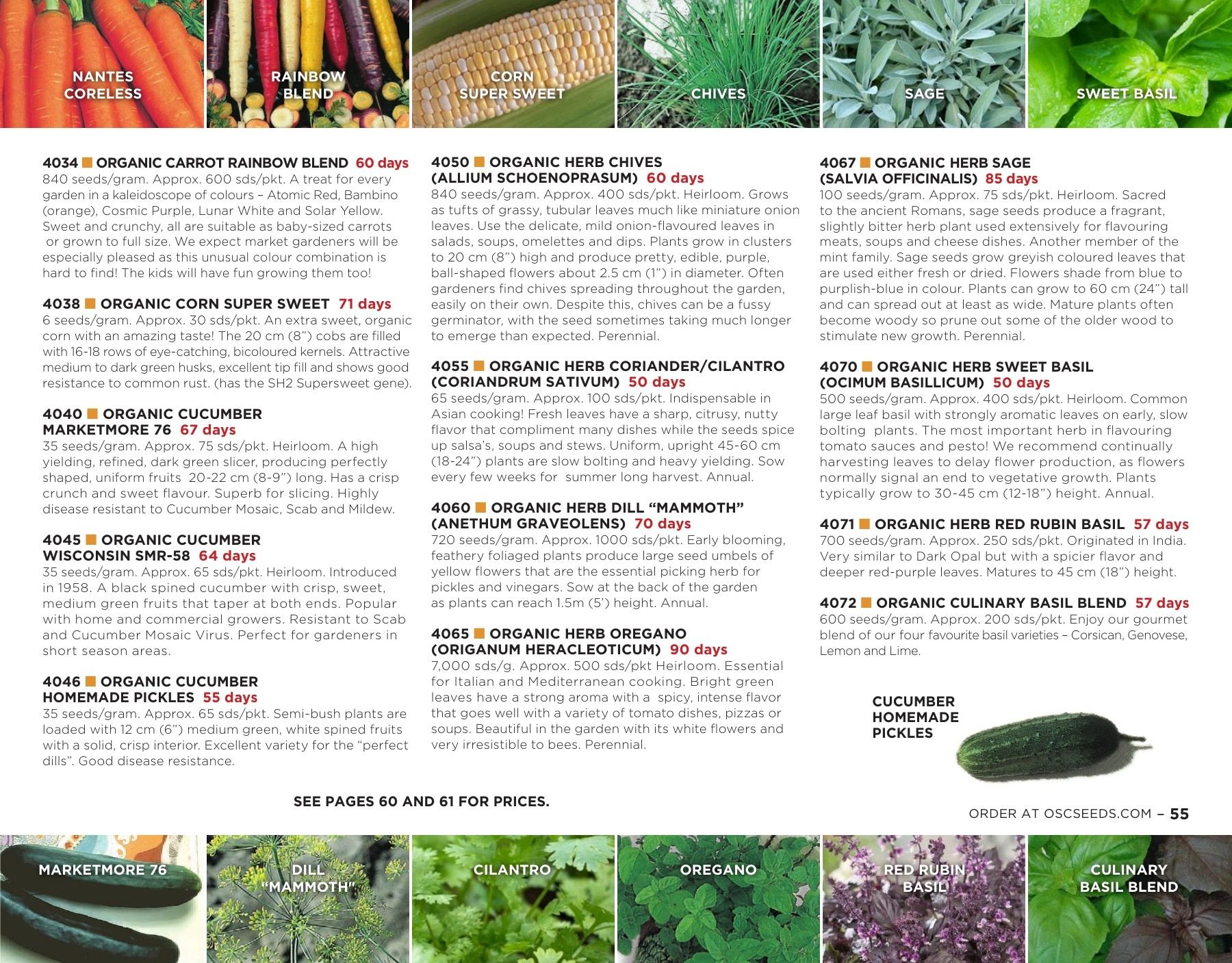 OSC Seeds Annual Catalog Flyer January 1 - December 31, 2026