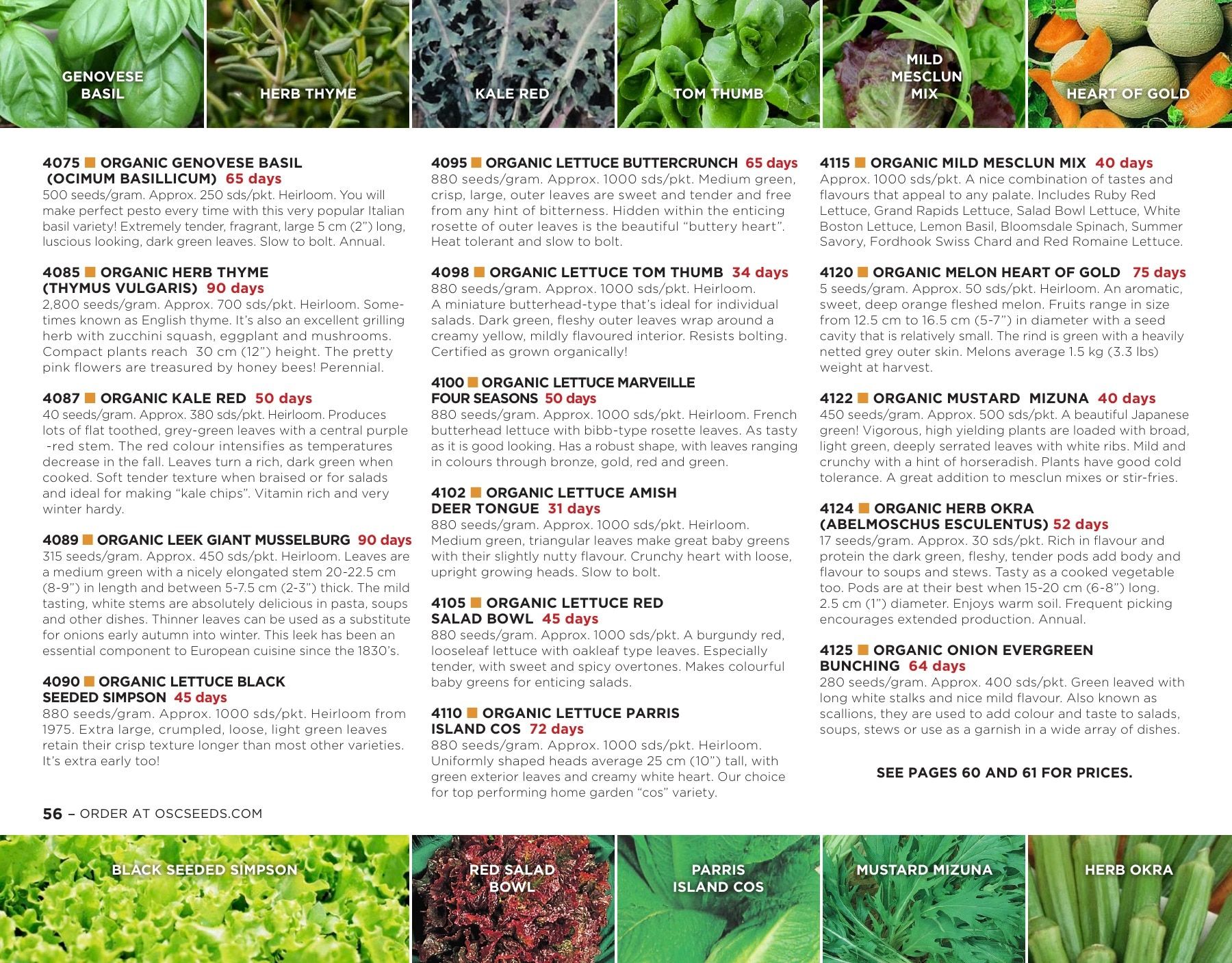 OSC Seeds Annual Catalog Flyer January 1 - December 31, 2026