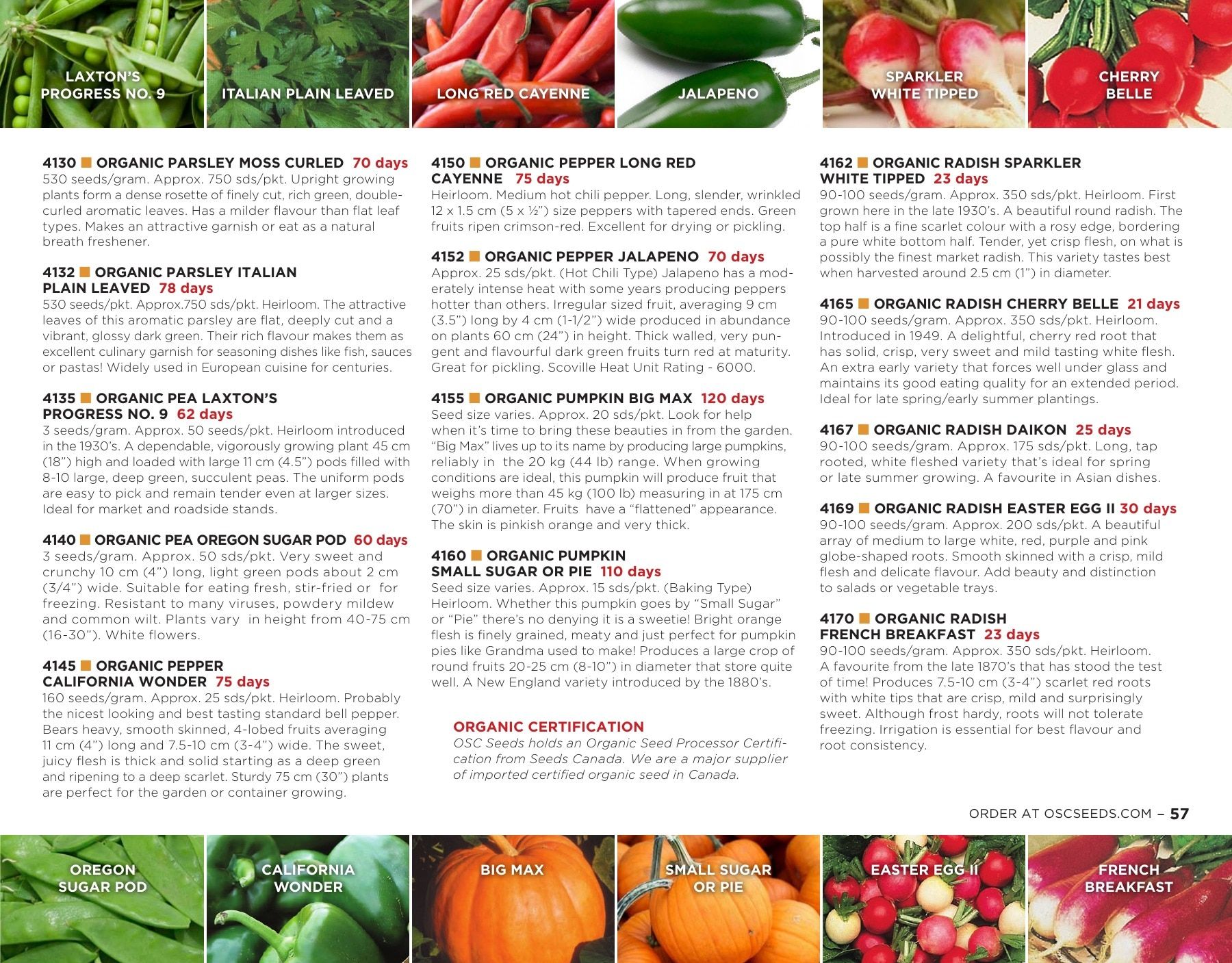 OSC Seeds Annual Catalog Flyer January 1 - December 31, 2026