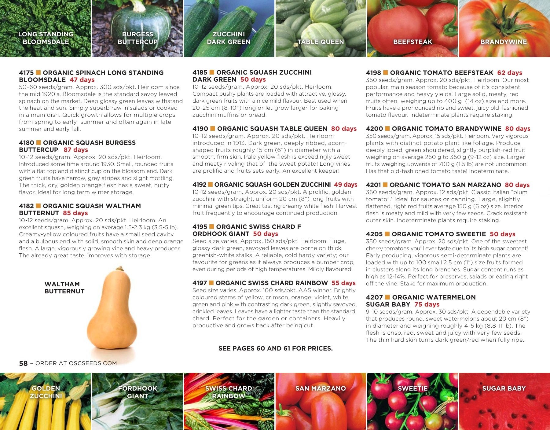 OSC Seeds Annual Catalog Flyer January 1 - December 31, 2026
