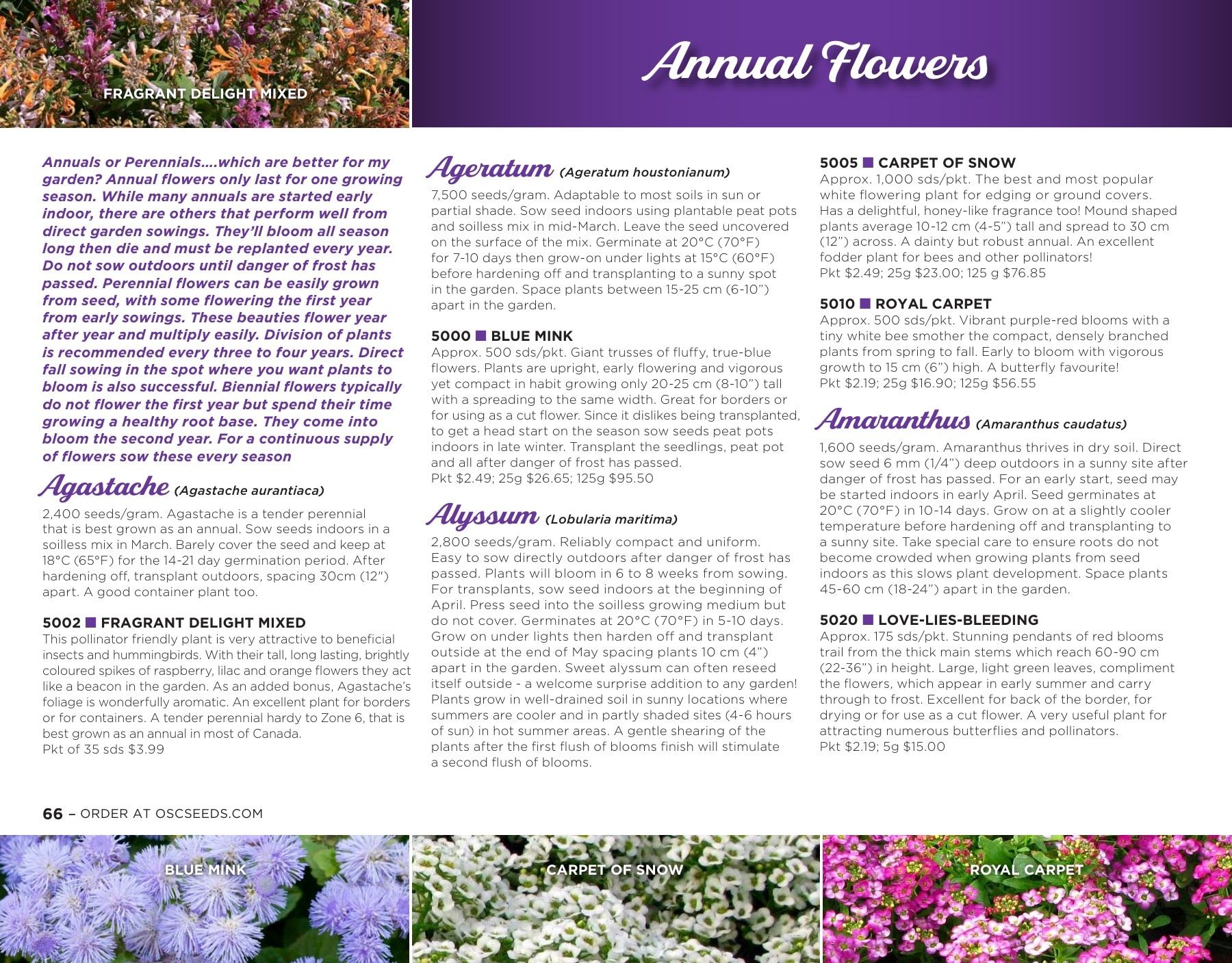 OSC Seeds Annual Catalog Flyer January 1 - December 31, 2026
