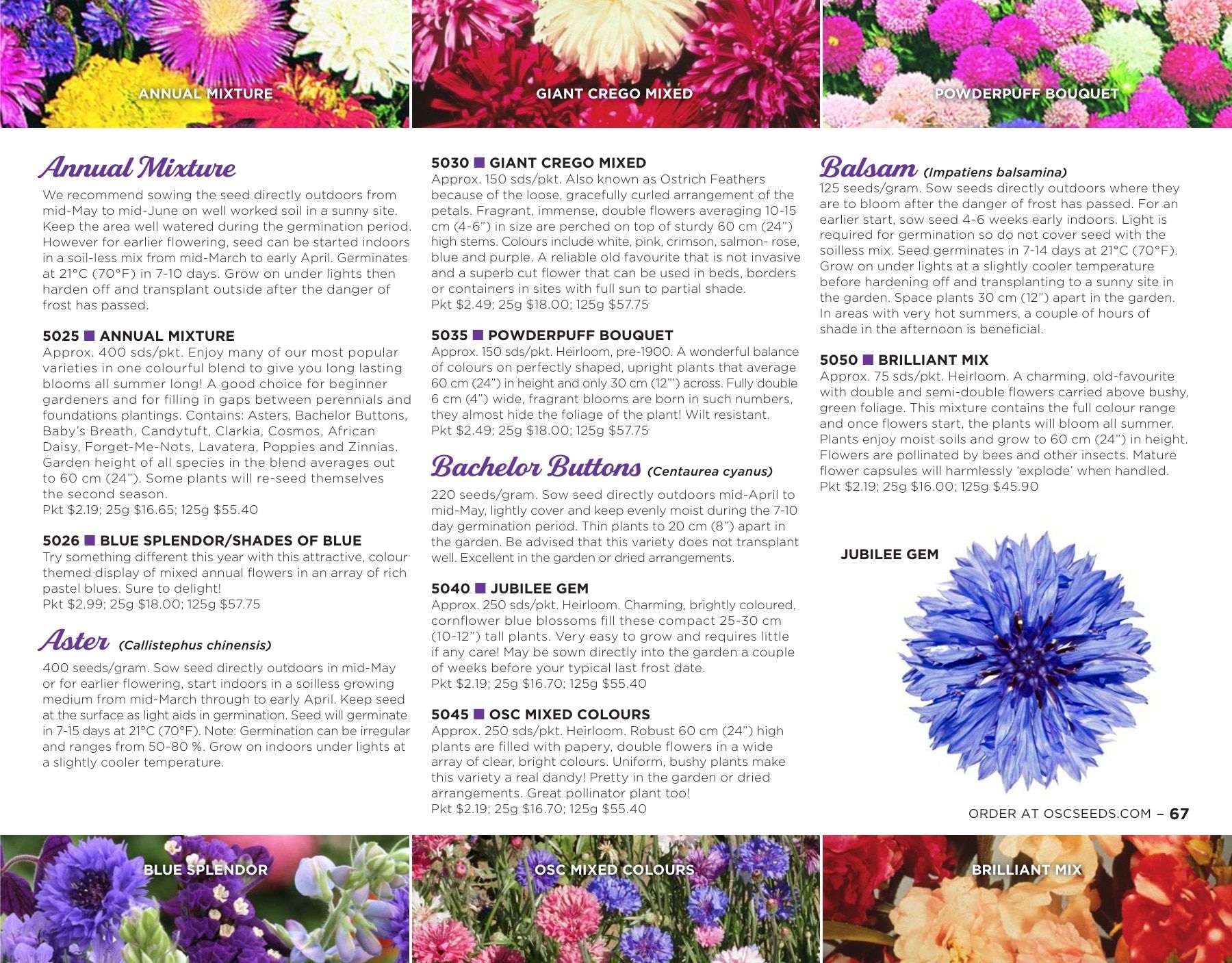 OSC Seeds Annual Catalog Flyer January 1 - December 31, 2026