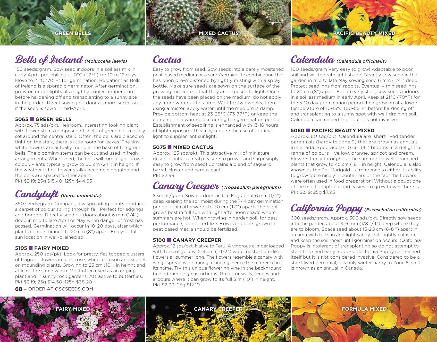 OSC Seeds Annual Catalog Flyer January 1 - December 31, 2026