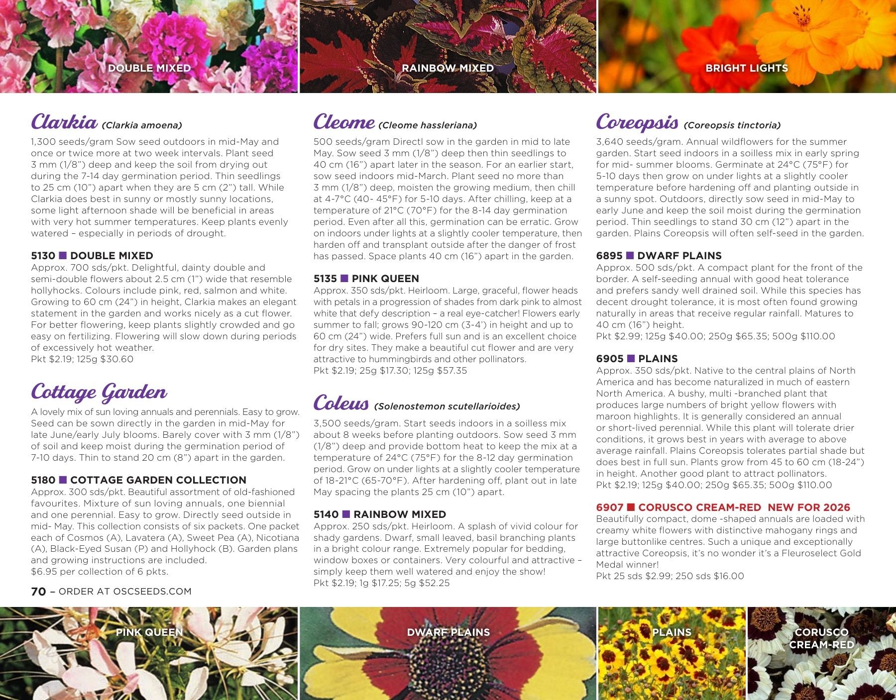OSC Seeds Annual Catalog Flyer January 1 - December 31, 2026