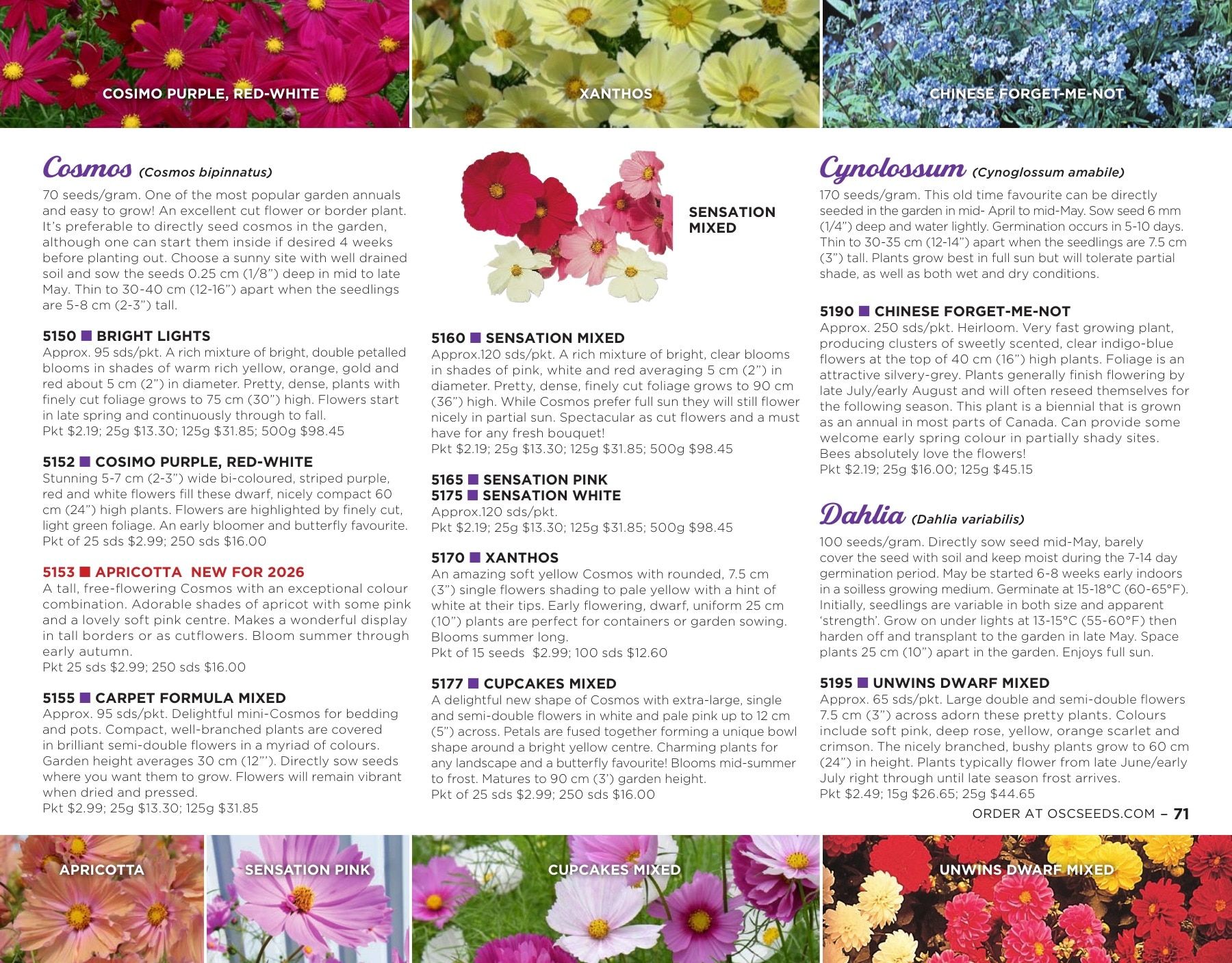 OSC Seeds Annual Catalog Flyer January 1 - December 31, 2026