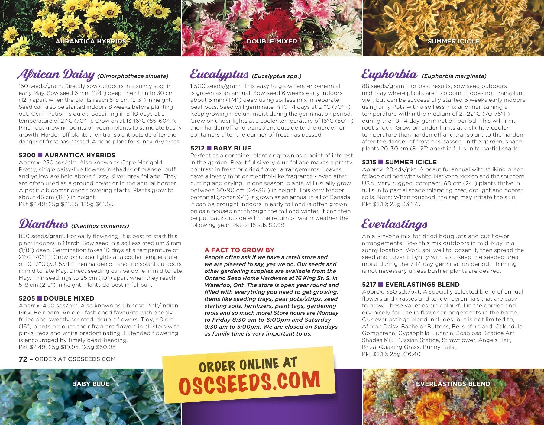 OSC Seeds Annual Catalog Flyer January 1 - December 31, 2026