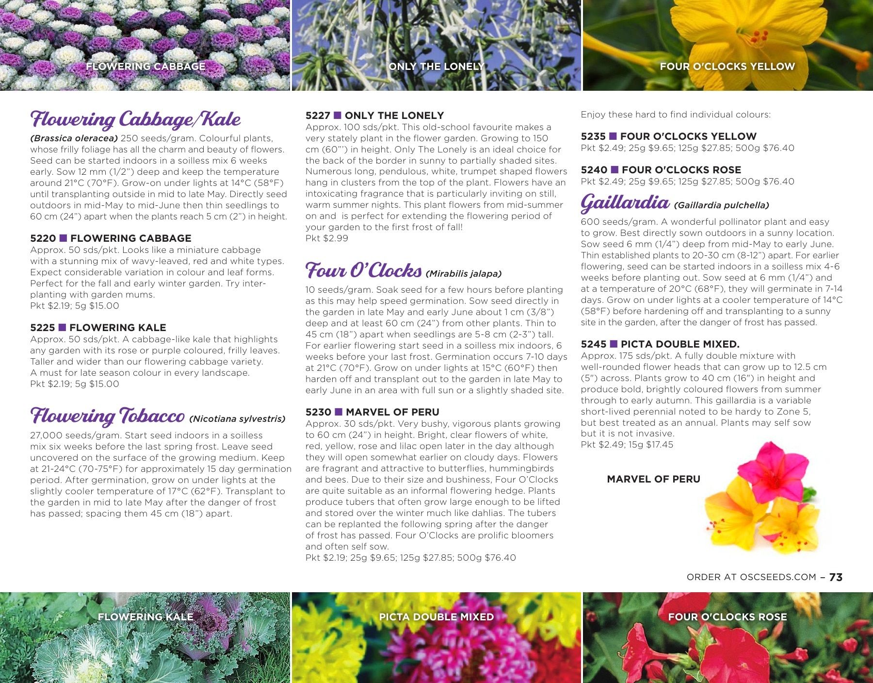 OSC Seeds Annual Catalog Flyer January 1 - December 31, 2026