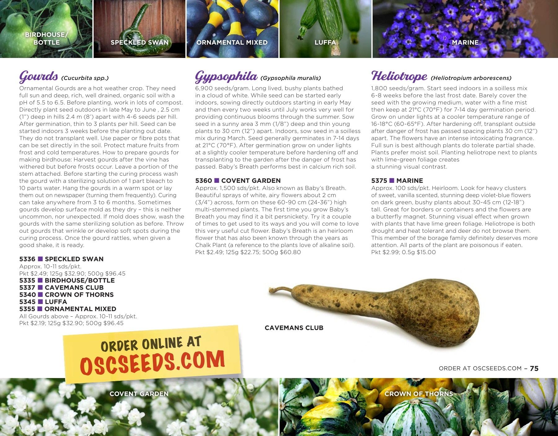 OSC Seeds Annual Catalog Flyer January 1 - December 31, 2026