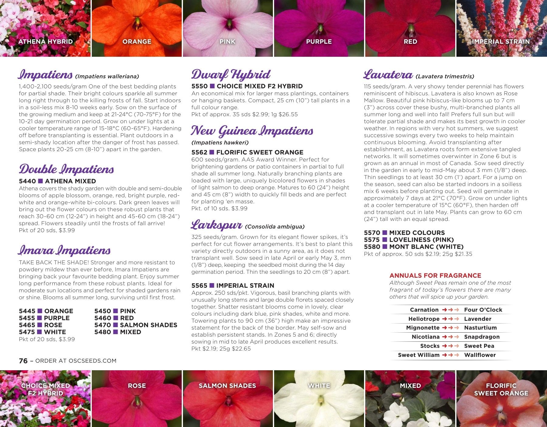 OSC Seeds Annual Catalog Flyer January 1 - December 31, 2026