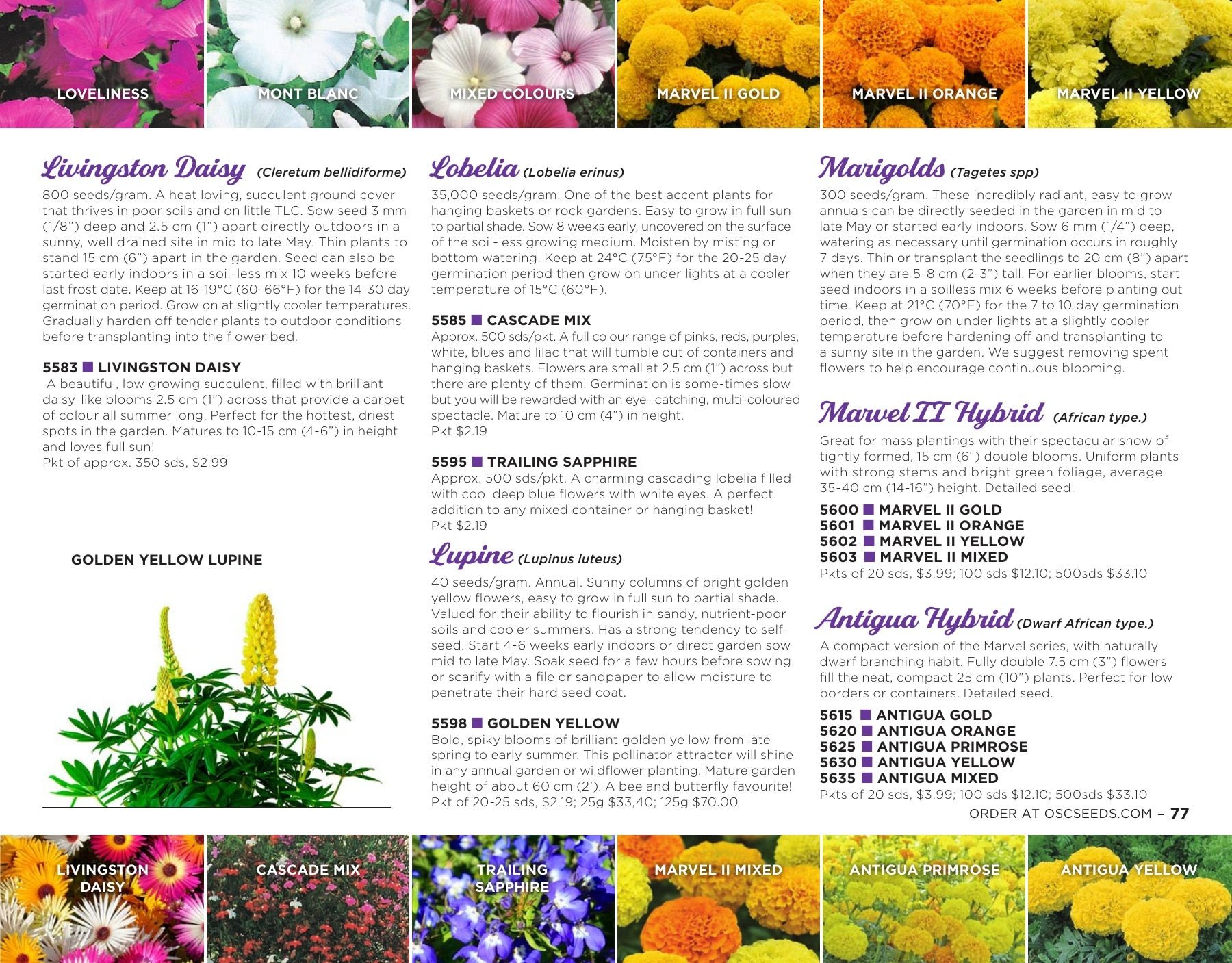 OSC Seeds Annual Catalog Flyer January 1 - December 31, 2026