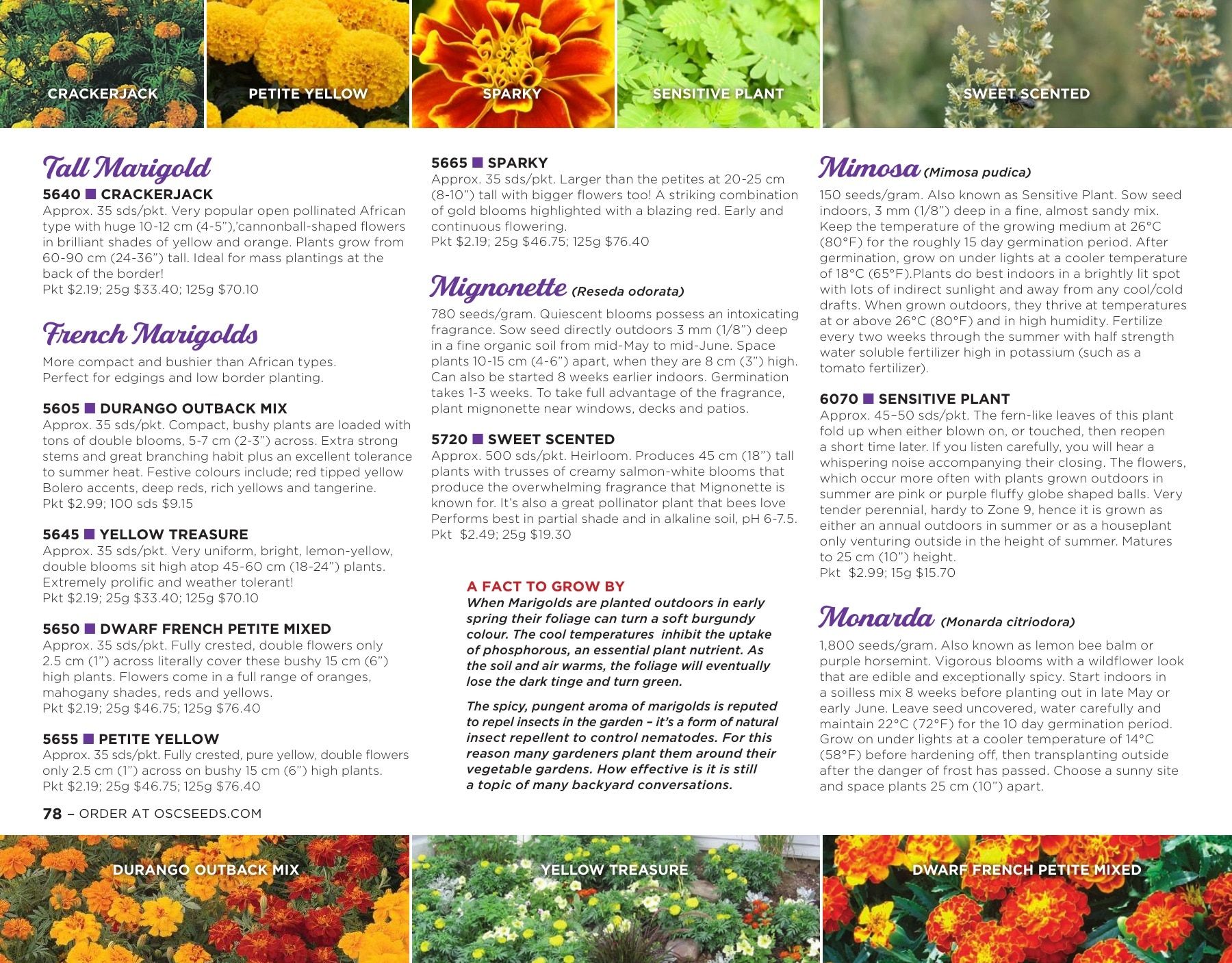 OSC Seeds Annual Catalog Flyer January 1 - December 31, 2026