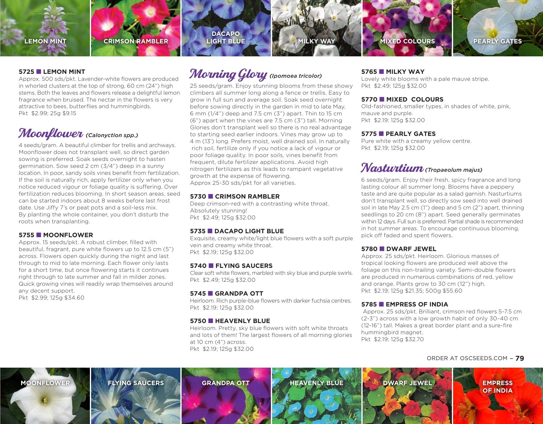 OSC Seeds Annual Catalog Flyer January 1 - December 31, 2026