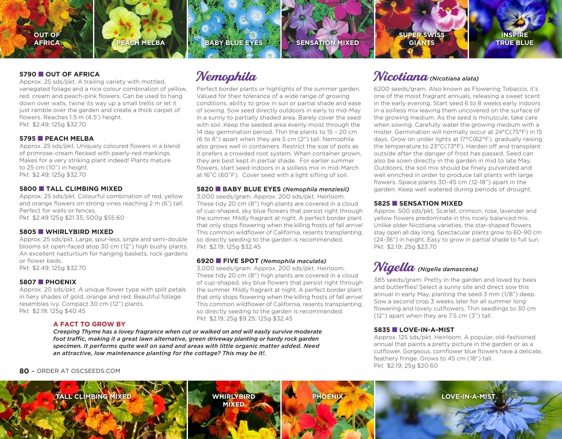 OSC Seeds Annual Catalog Flyer January 1 - December 31, 2026