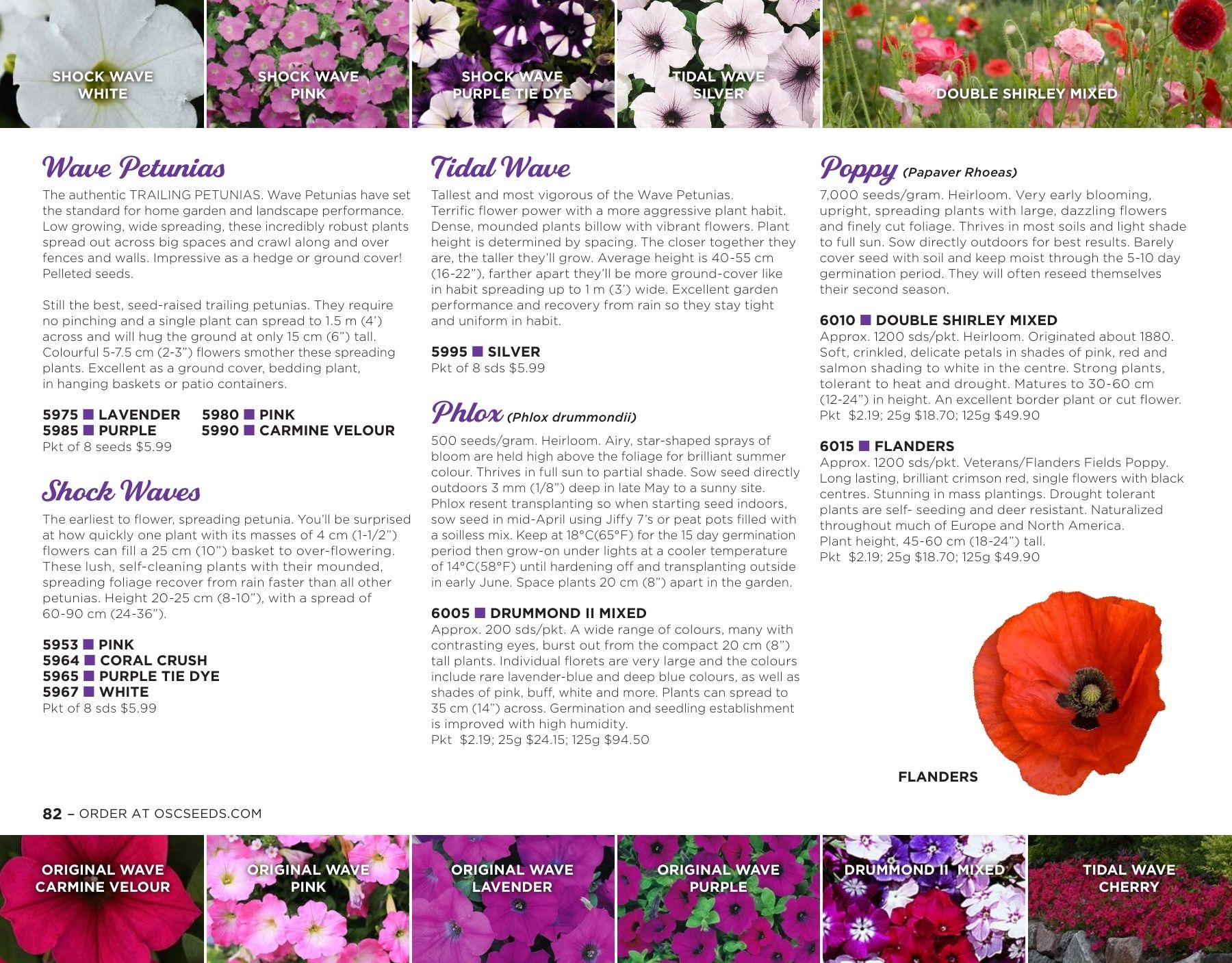OSC Seeds Annual Catalog Flyer January 1 - December 31, 2026