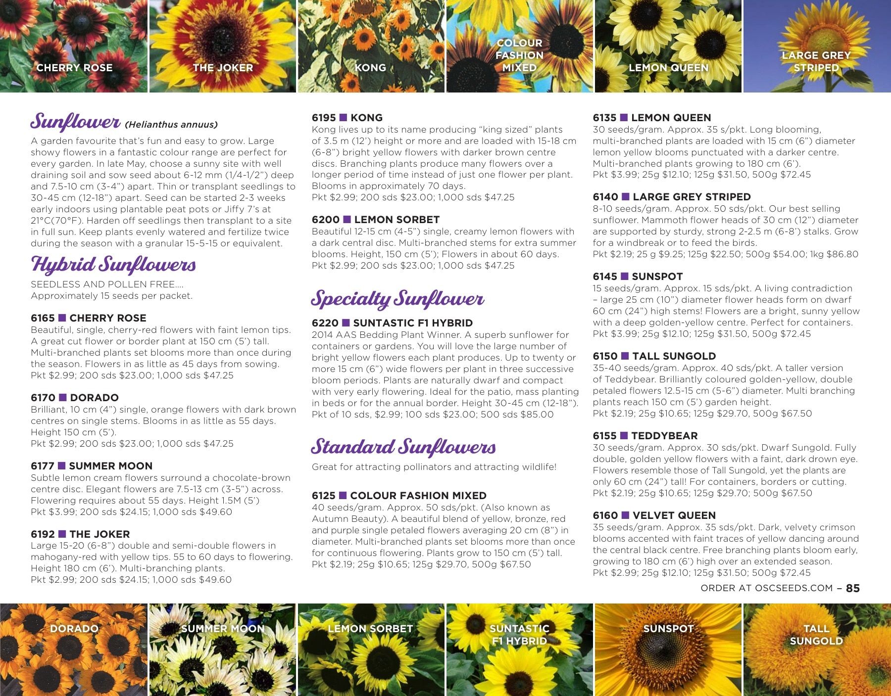 OSC Seeds Annual Catalog Flyer January 1 - December 31, 2026