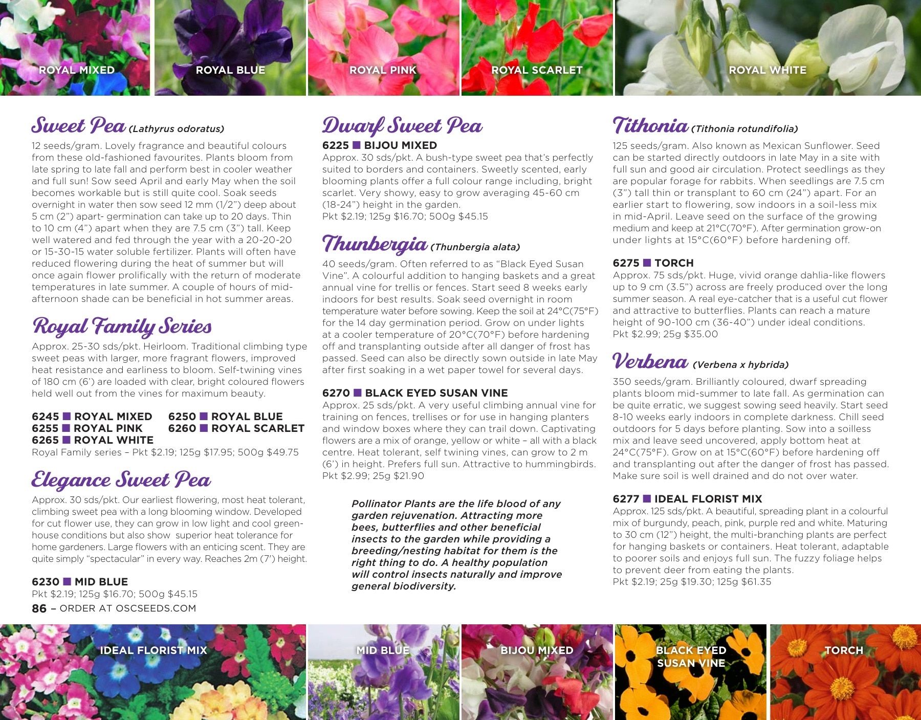 OSC Seeds Annual Catalog Flyer January 1 - December 31, 2026