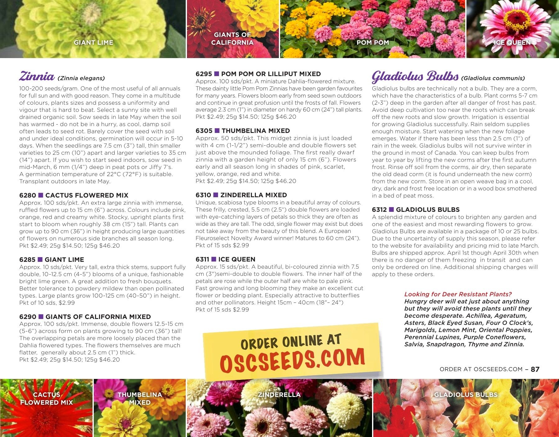 OSC Seeds Annual Catalog Flyer January 1 - December 31, 2026