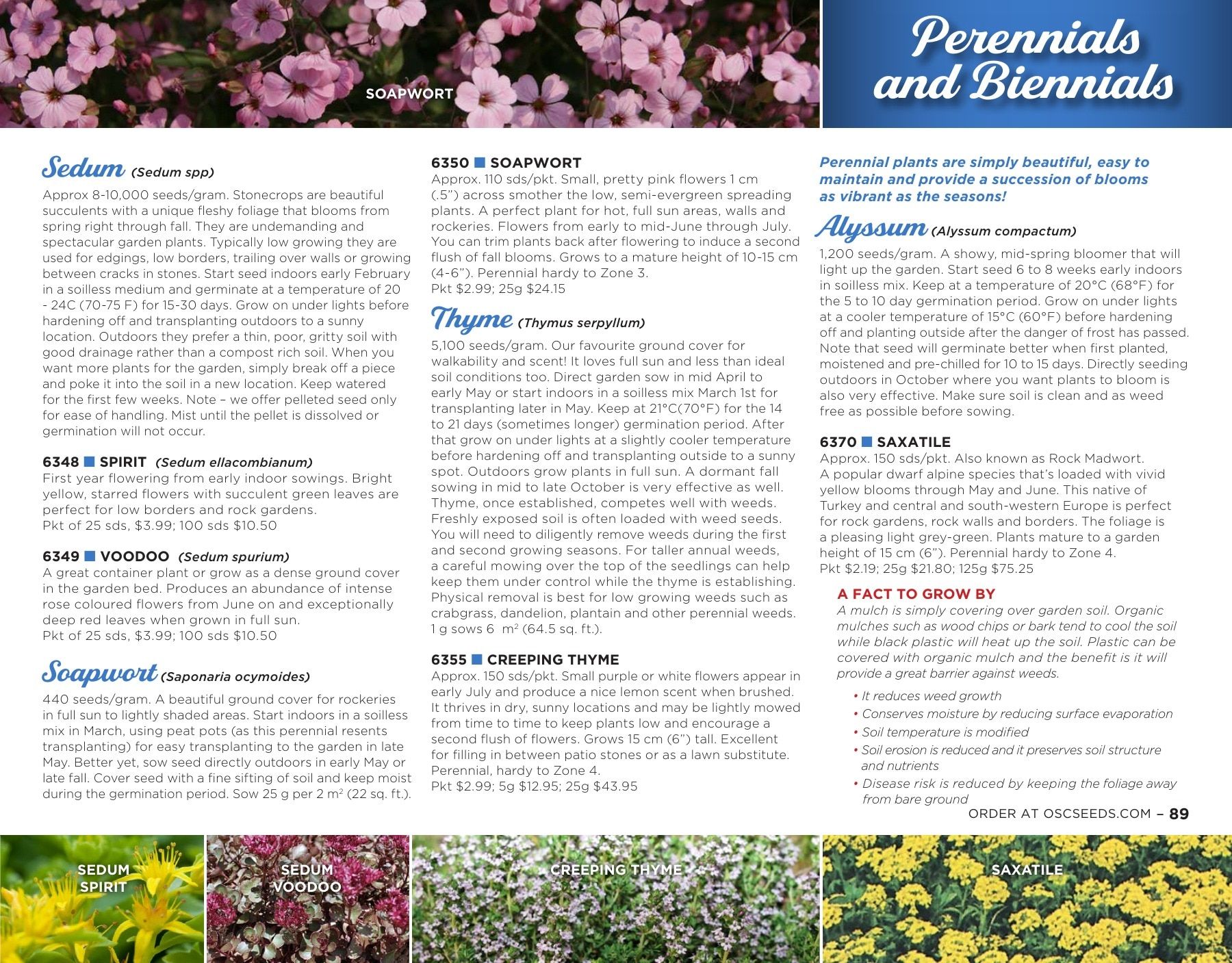 OSC Seeds Annual Catalog Flyer January 1 - December 31, 2026