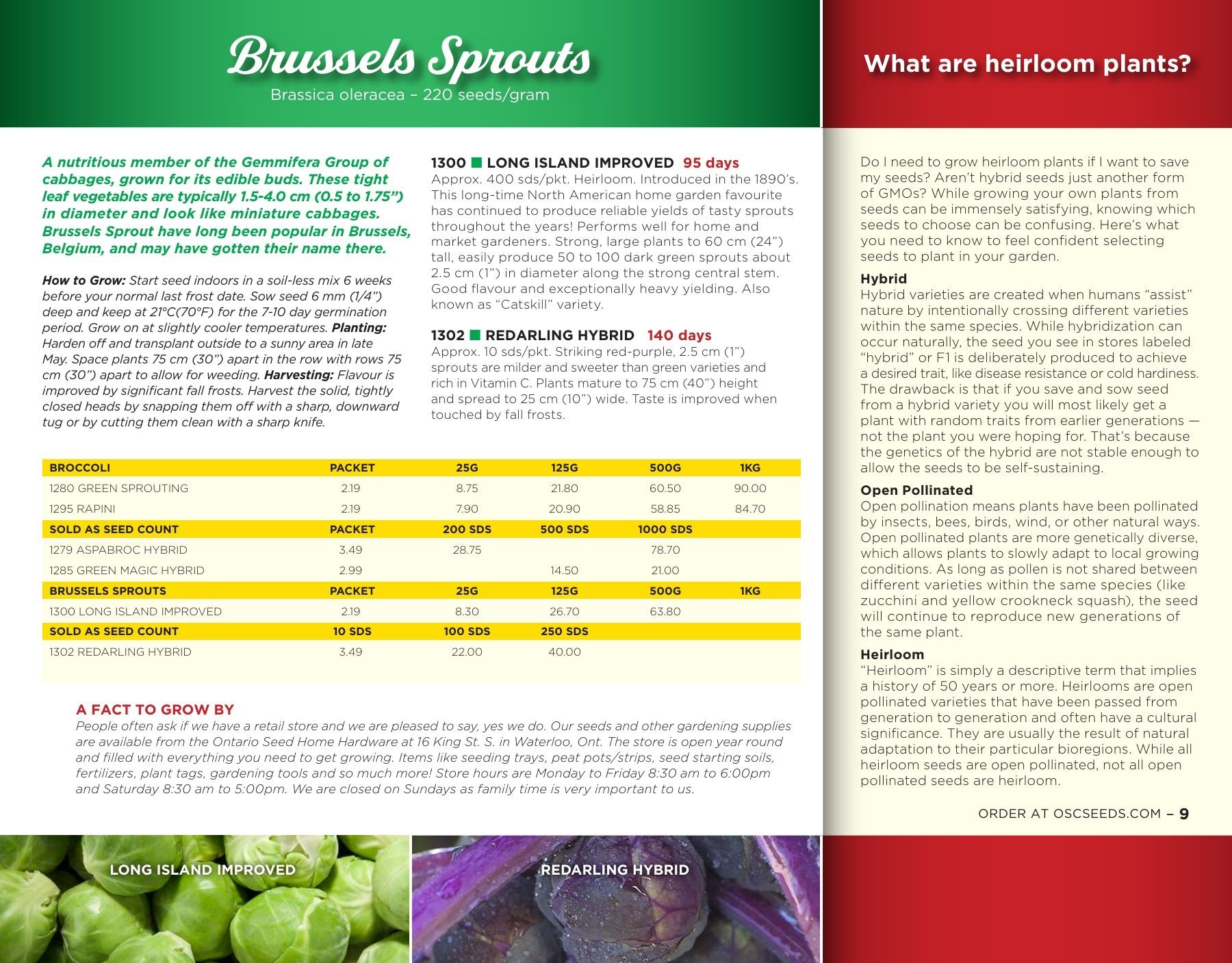OSC Seeds Annual Catalog Flyer January 1 - December 31, 2026
