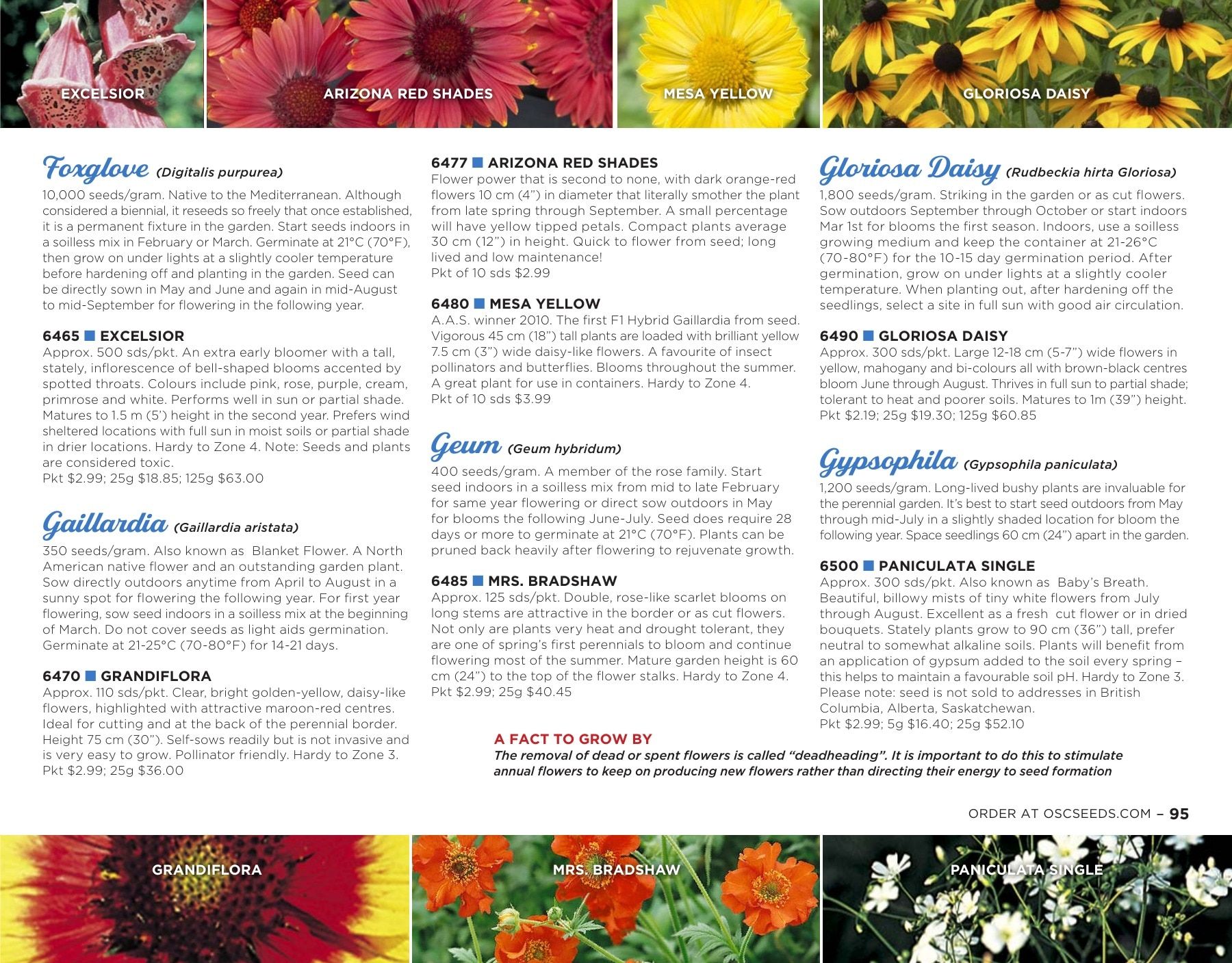 OSC Seeds Annual Catalog Flyer January 1 - December 31, 2026