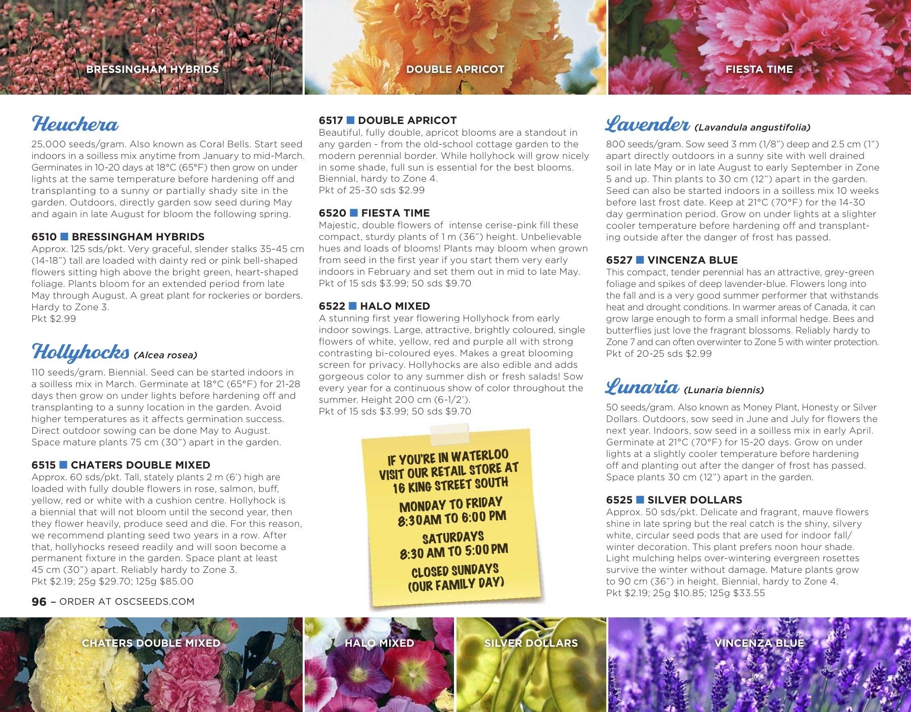 OSC Seeds Annual Catalog Flyer January 1 - December 31, 2026