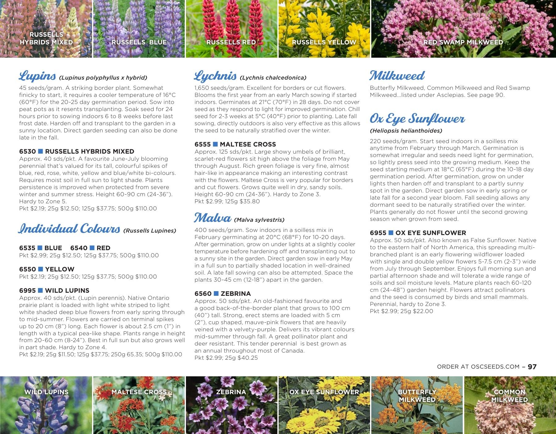 OSC Seeds Annual Catalog Flyer January 1 - December 31, 2026