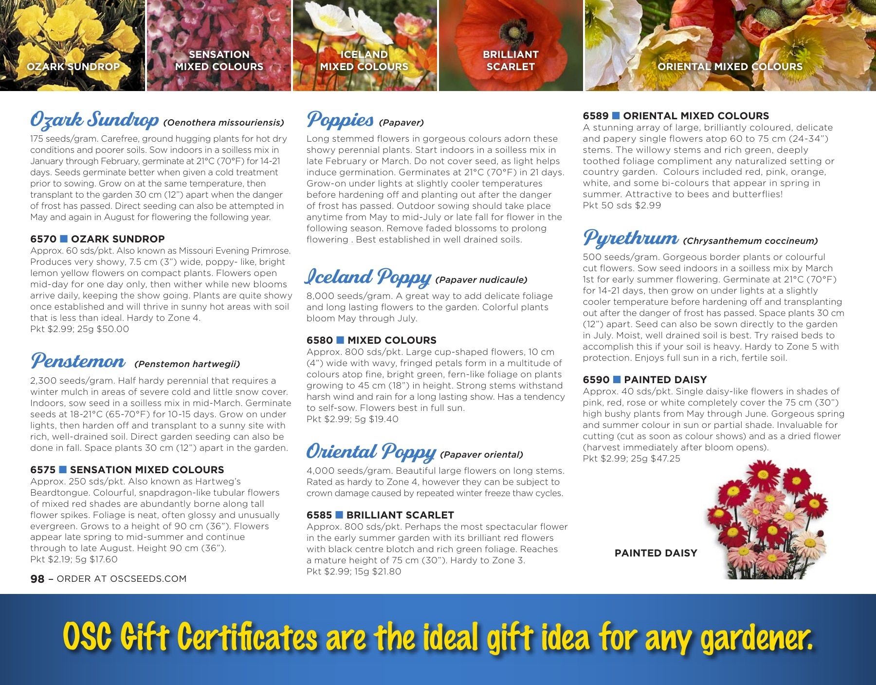 OSC Seeds Annual Catalog Flyer January 1 - December 31, 2026