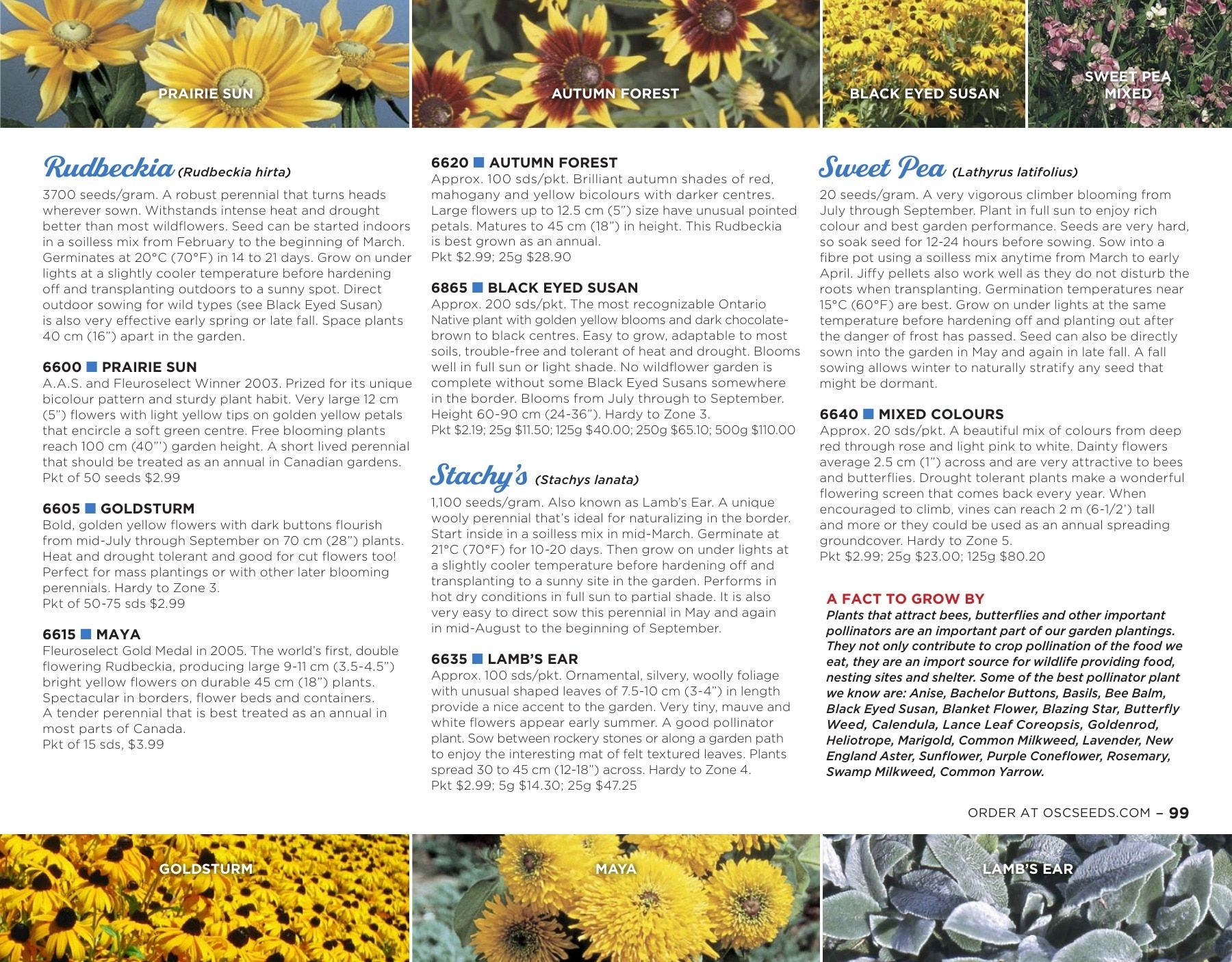OSC Seeds Annual Catalog Flyer January 1 - December 31, 2026