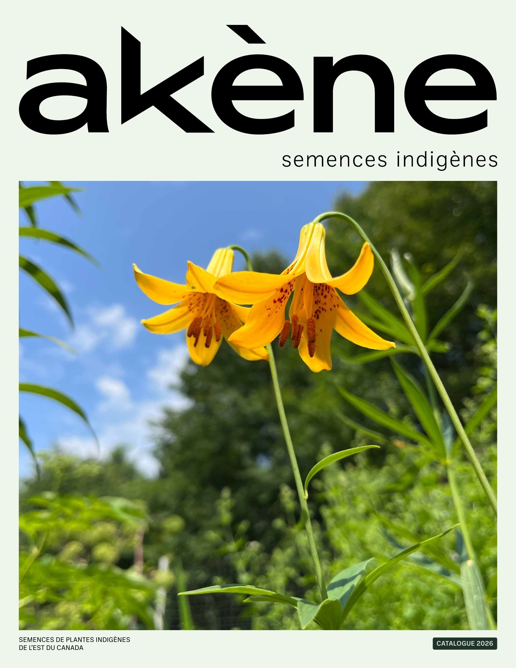 Akène Detailed Seed Catalog Flyer January 1 - December 31, 2026
