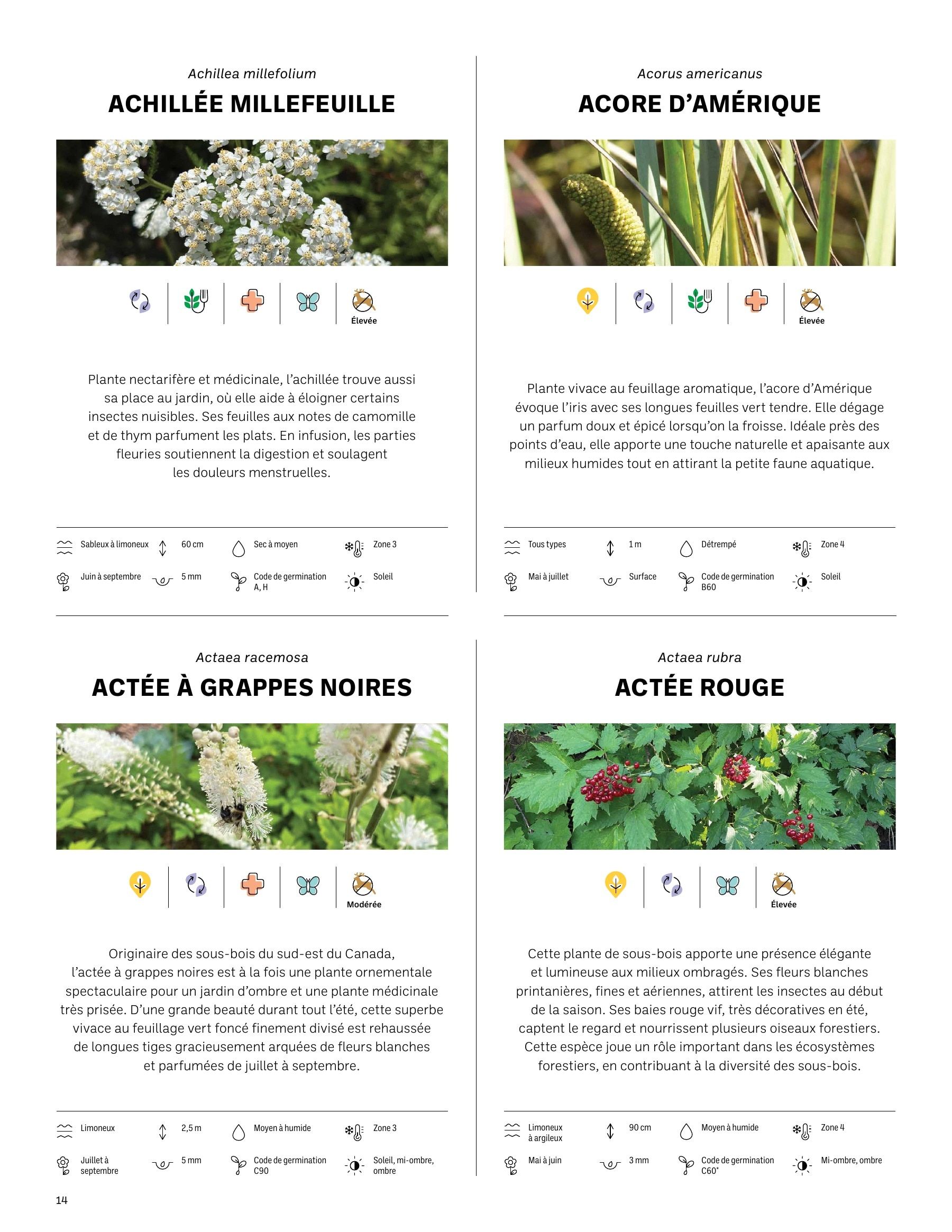 Akène Detailed Seed Catalog Flyer January 1 - December 31, 2026